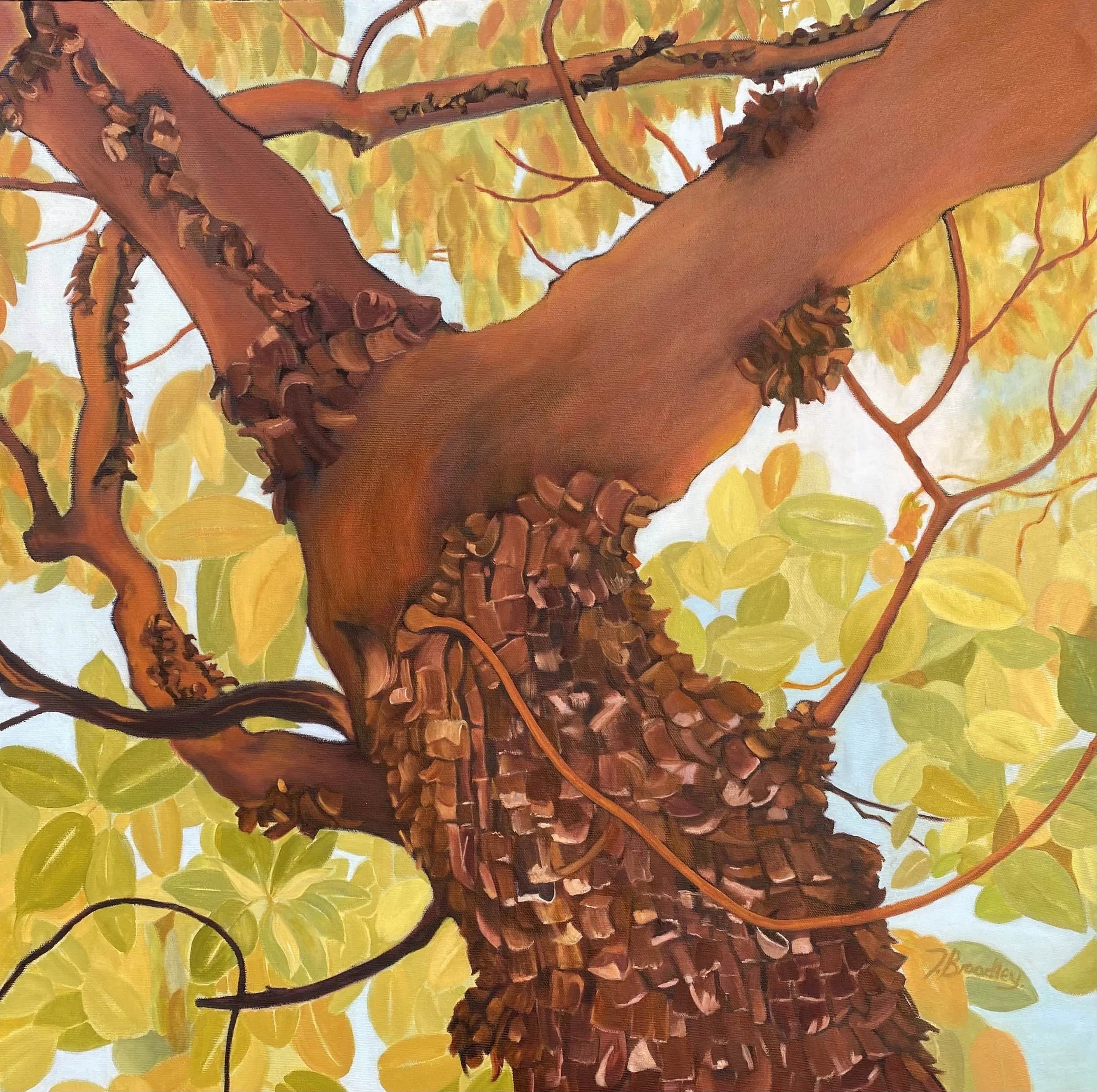 'June Arbutus', 24 x 24" framed, $1200