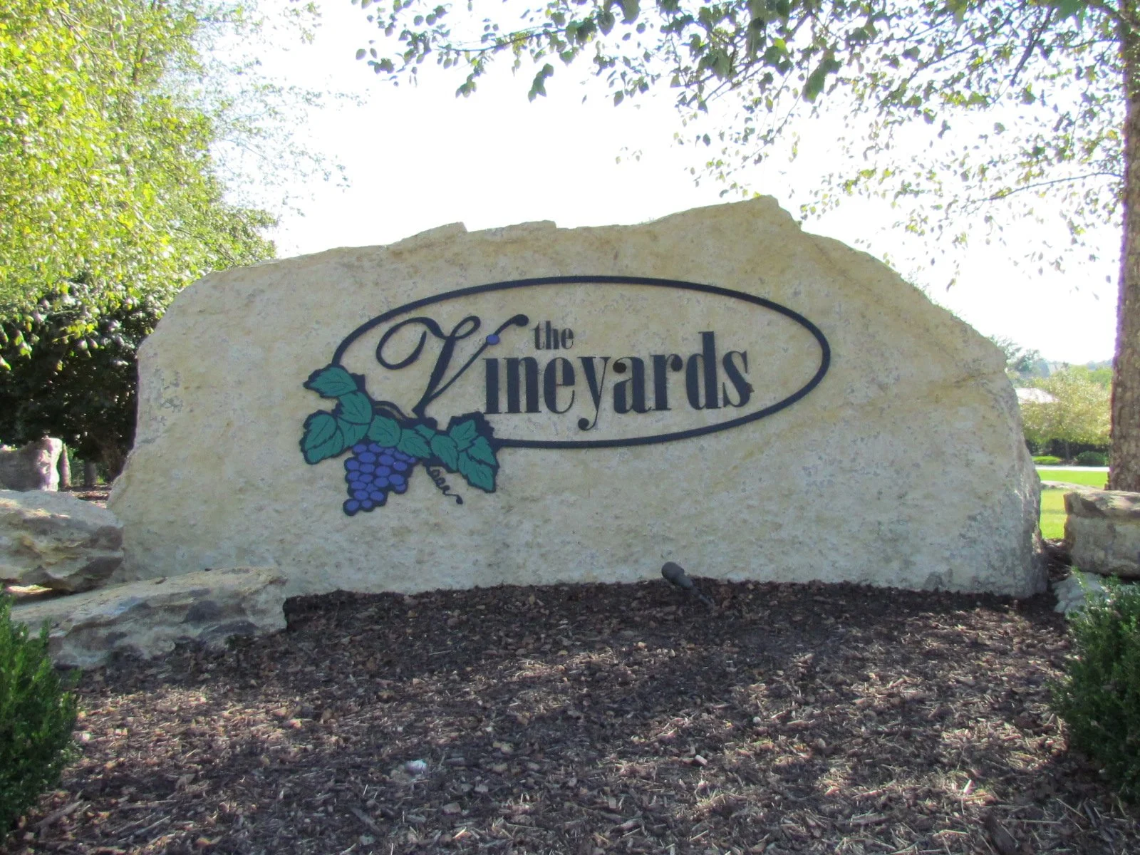 The vineyards Columbia, MO