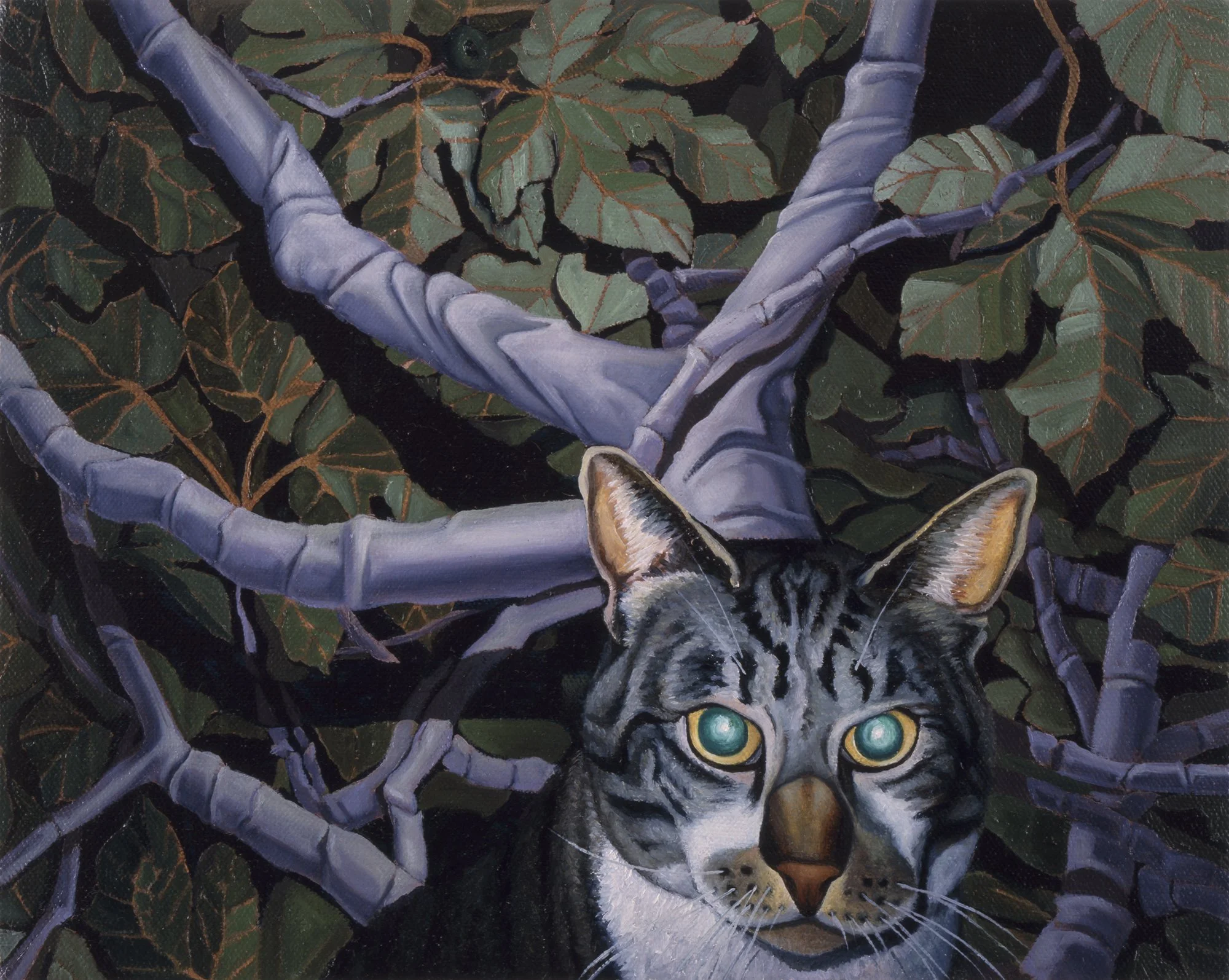Henry, 2003