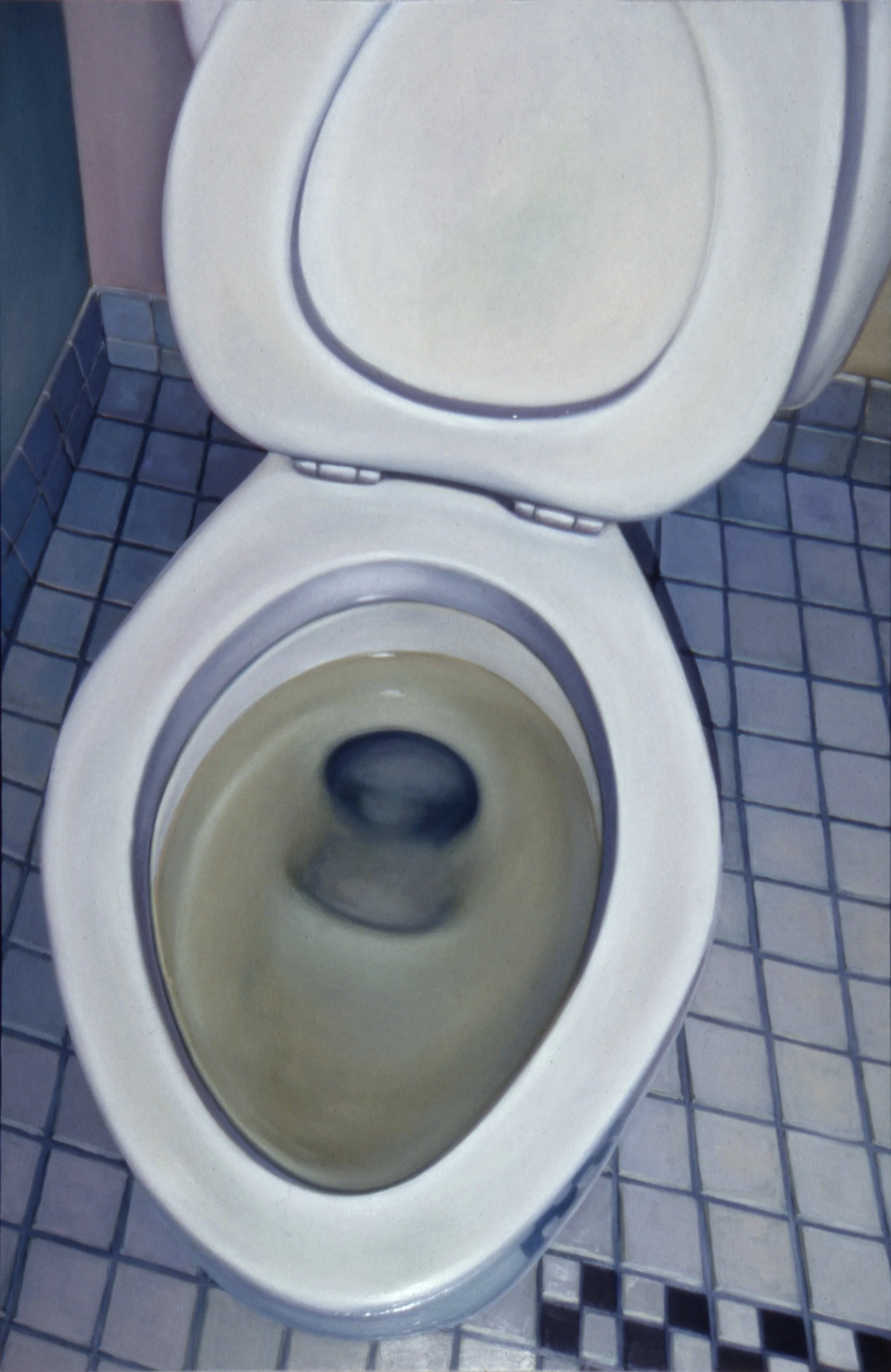 Toilet, 1995