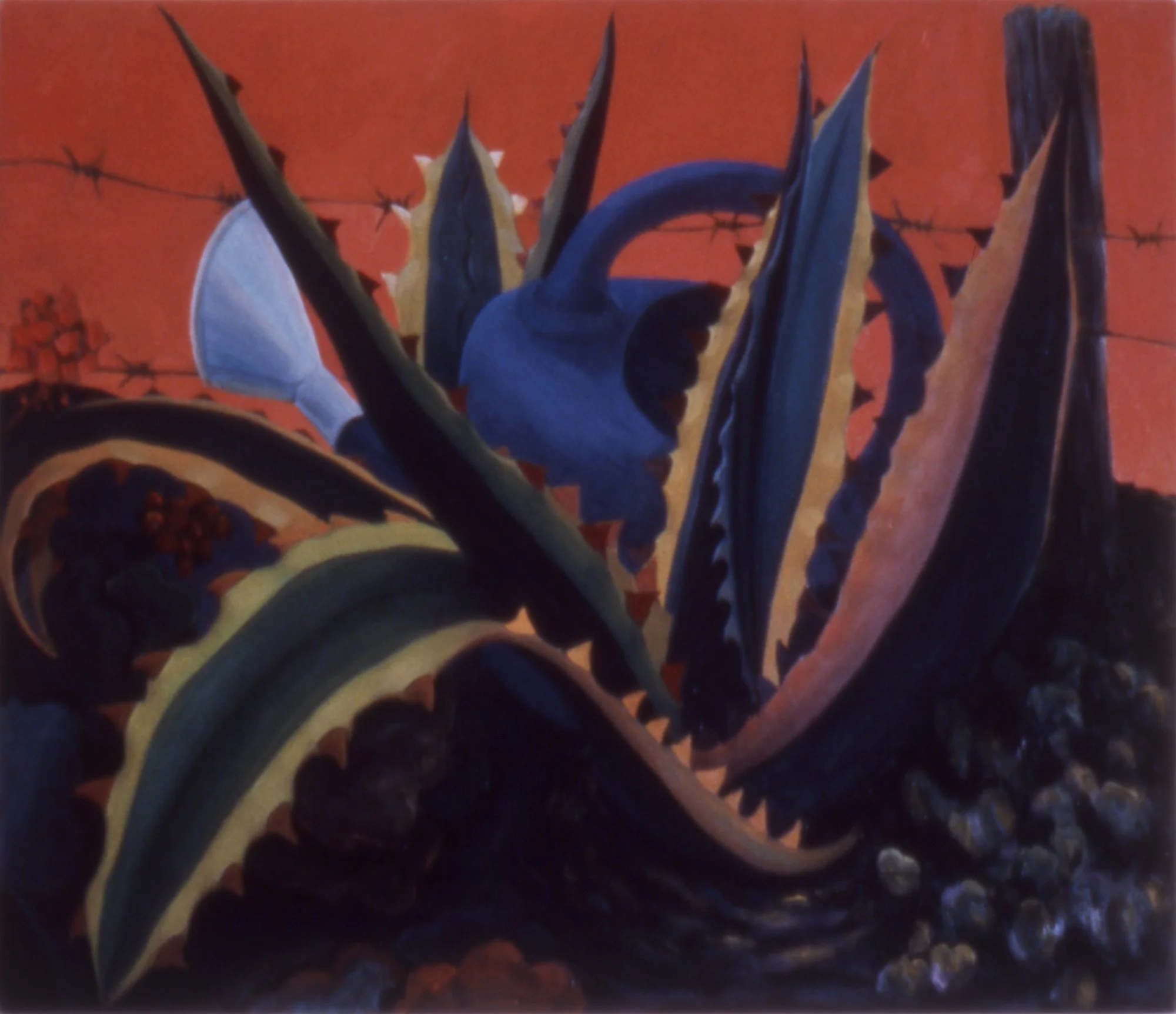 Extremeno Jardin, 1993