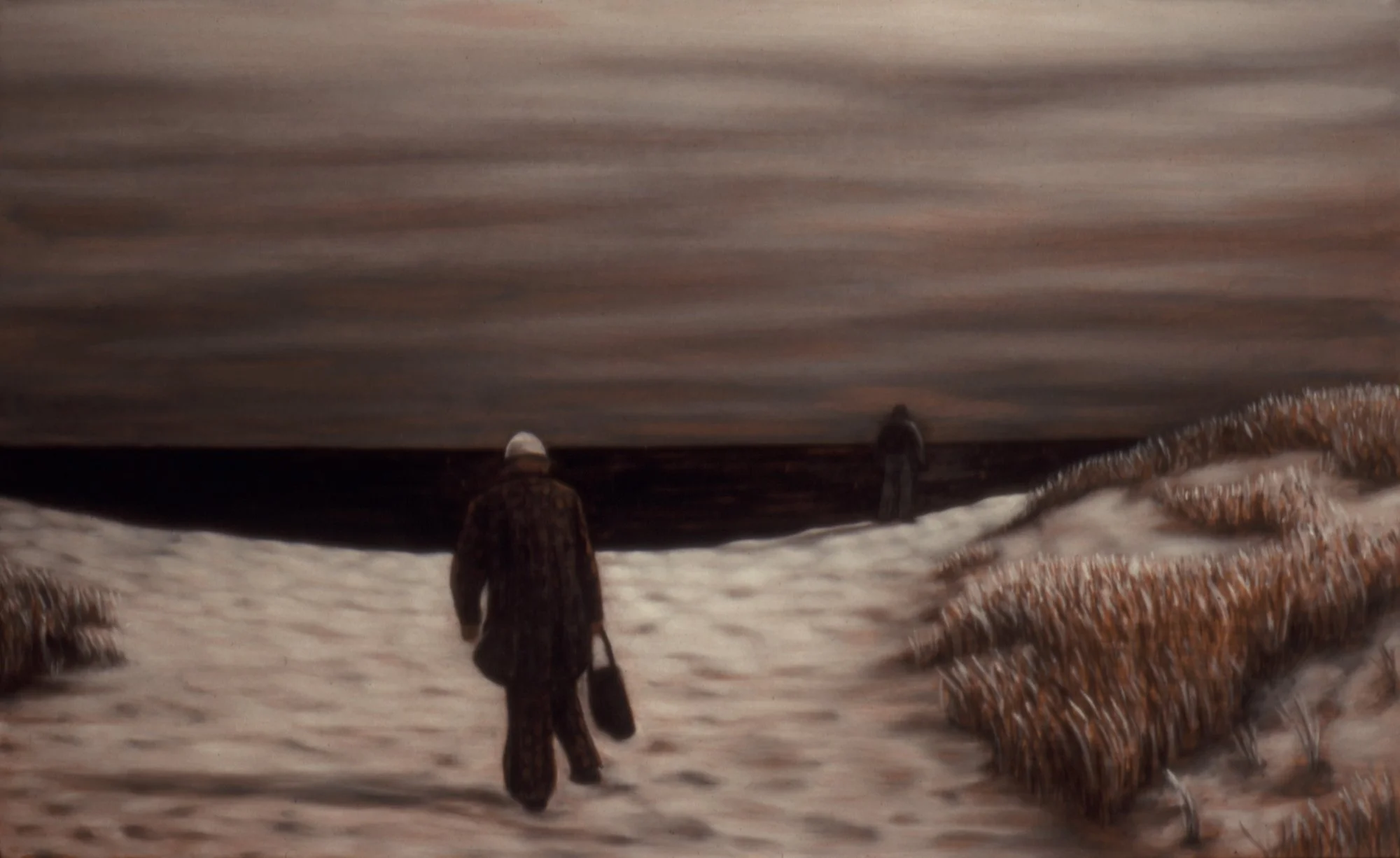 Sule Skerry Nauset, 1993