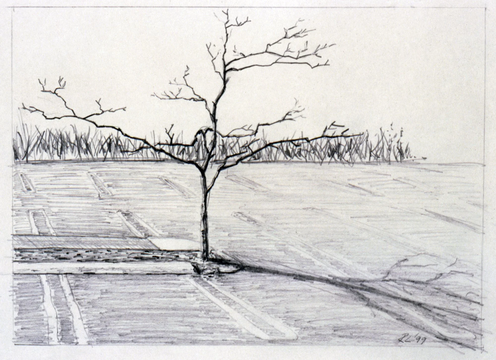 Untitled Tree, 1999