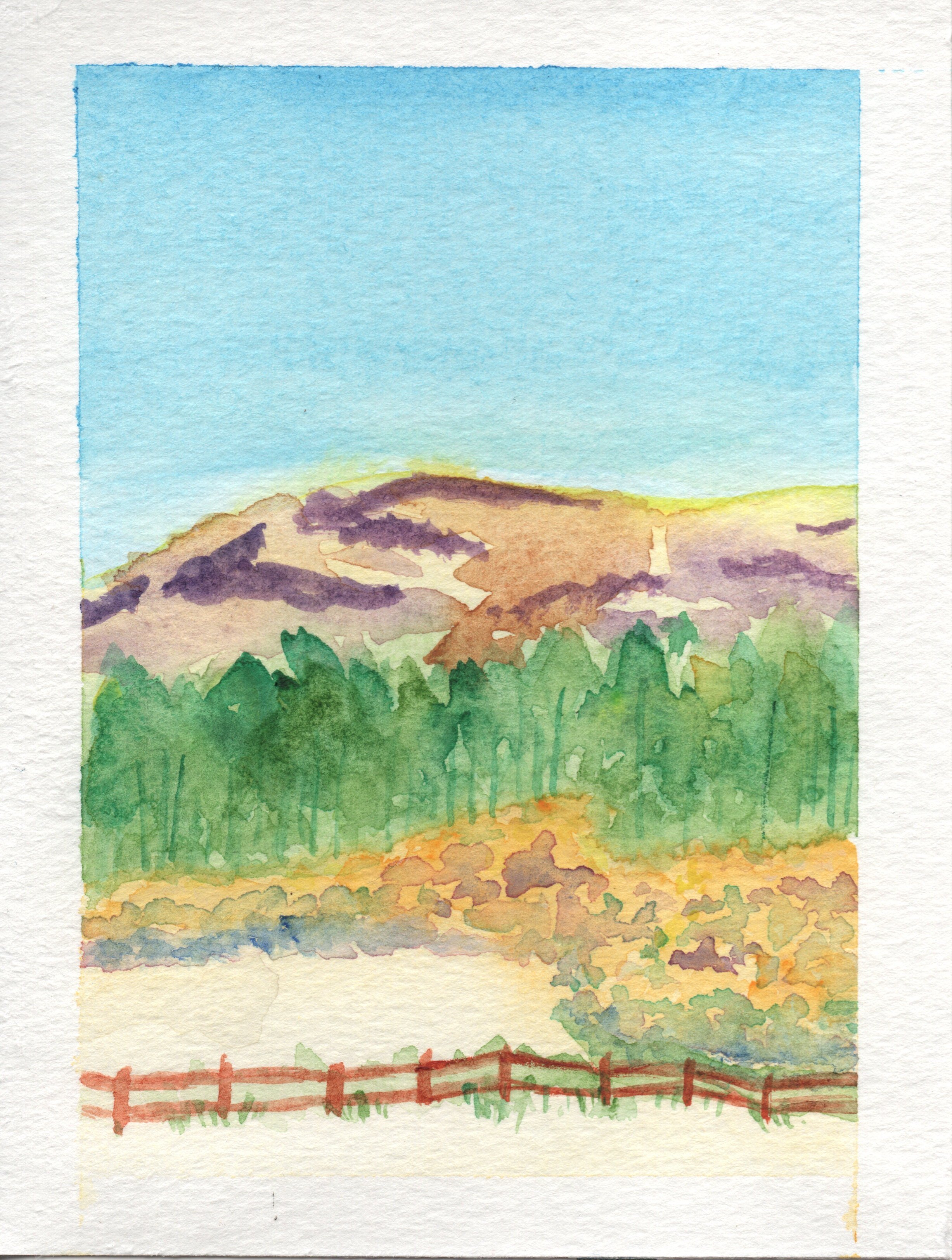 Oh My Gorse.jpg
