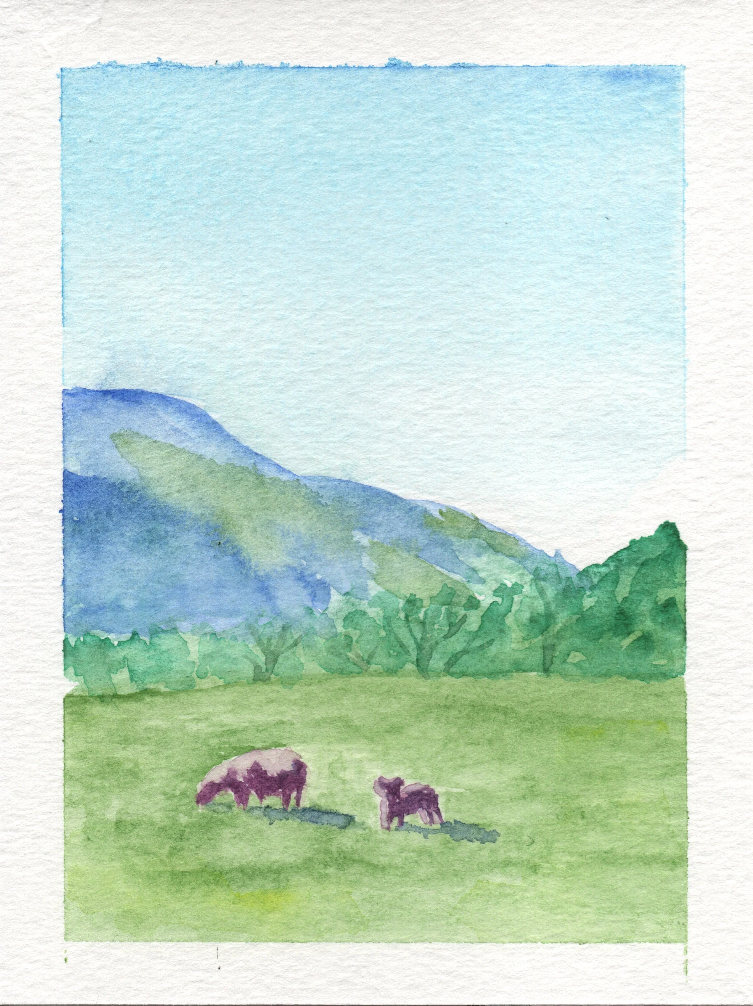 Grazing Peacefully.jpg