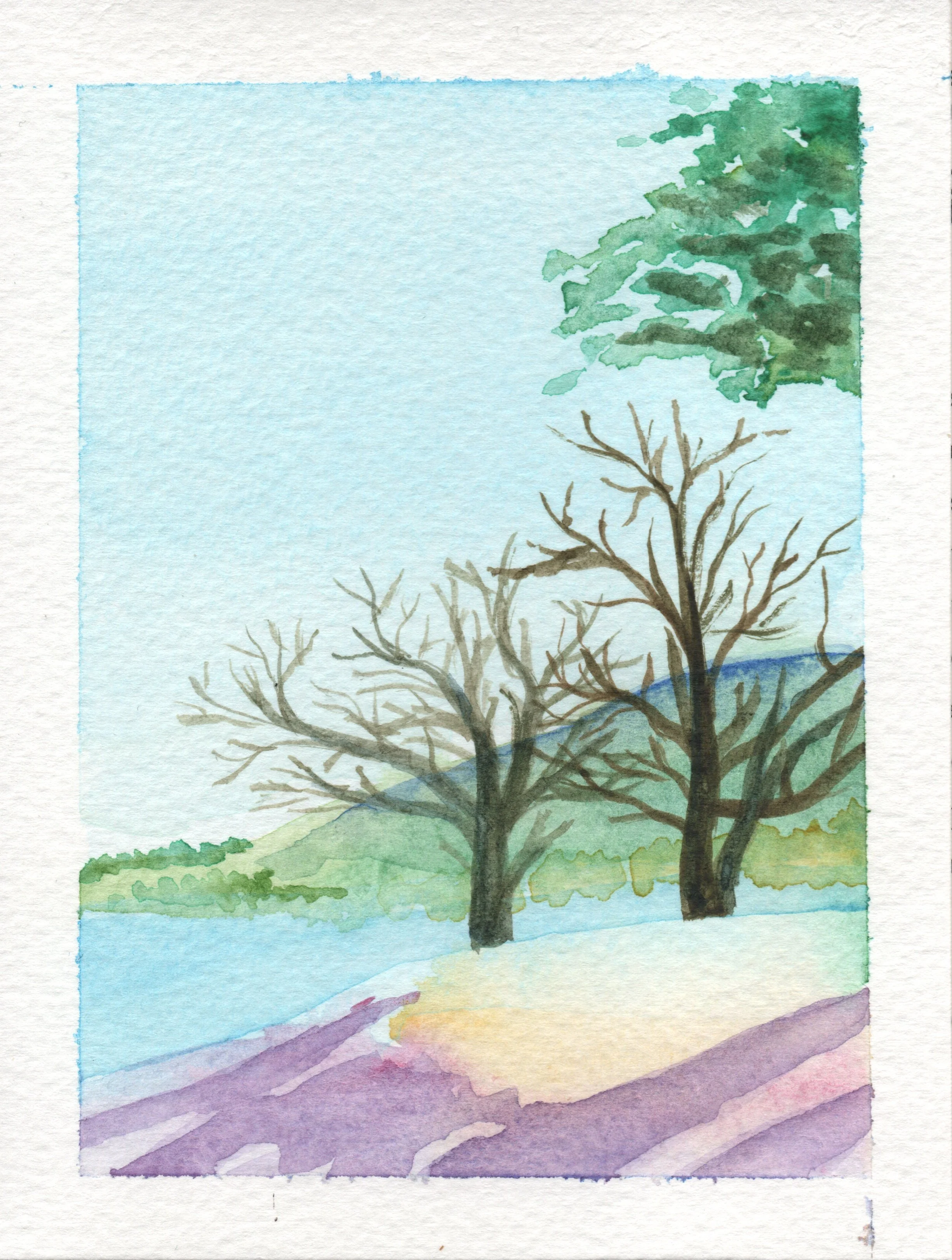 Under the Tree.jpg
