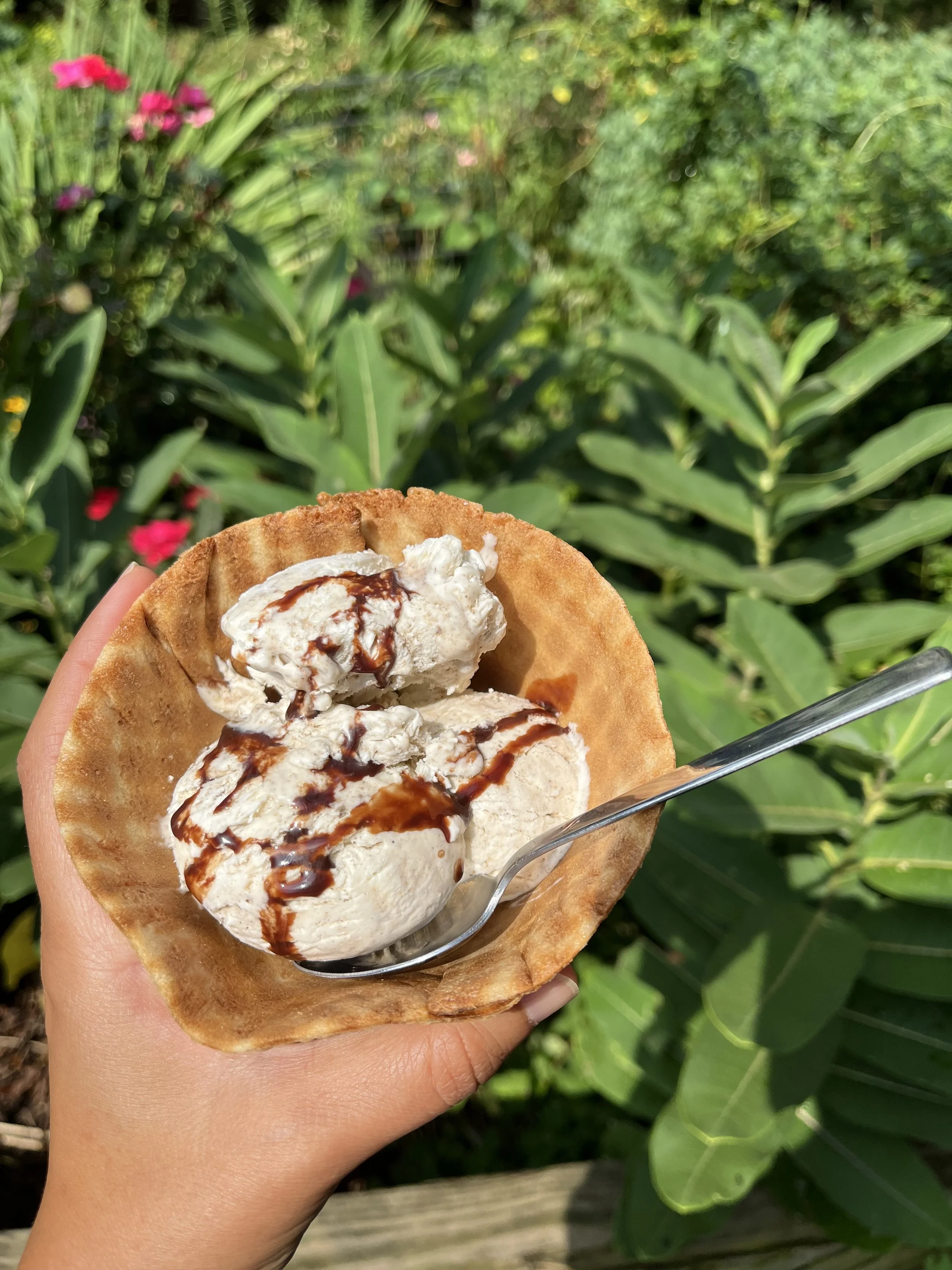 Easy No-Churn Protein Ice Cream