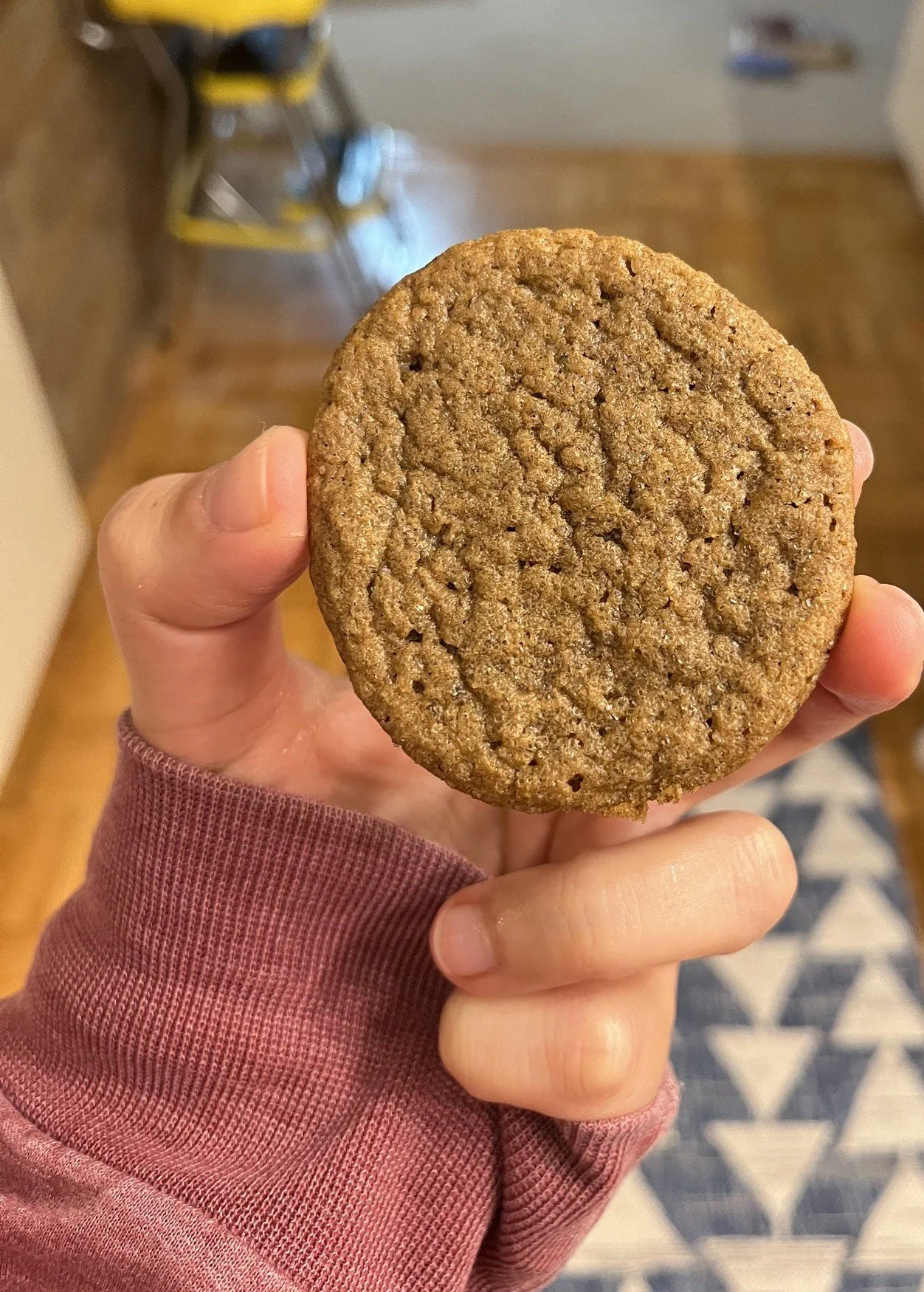 “Taste of Home” Protein Ginger Snaps