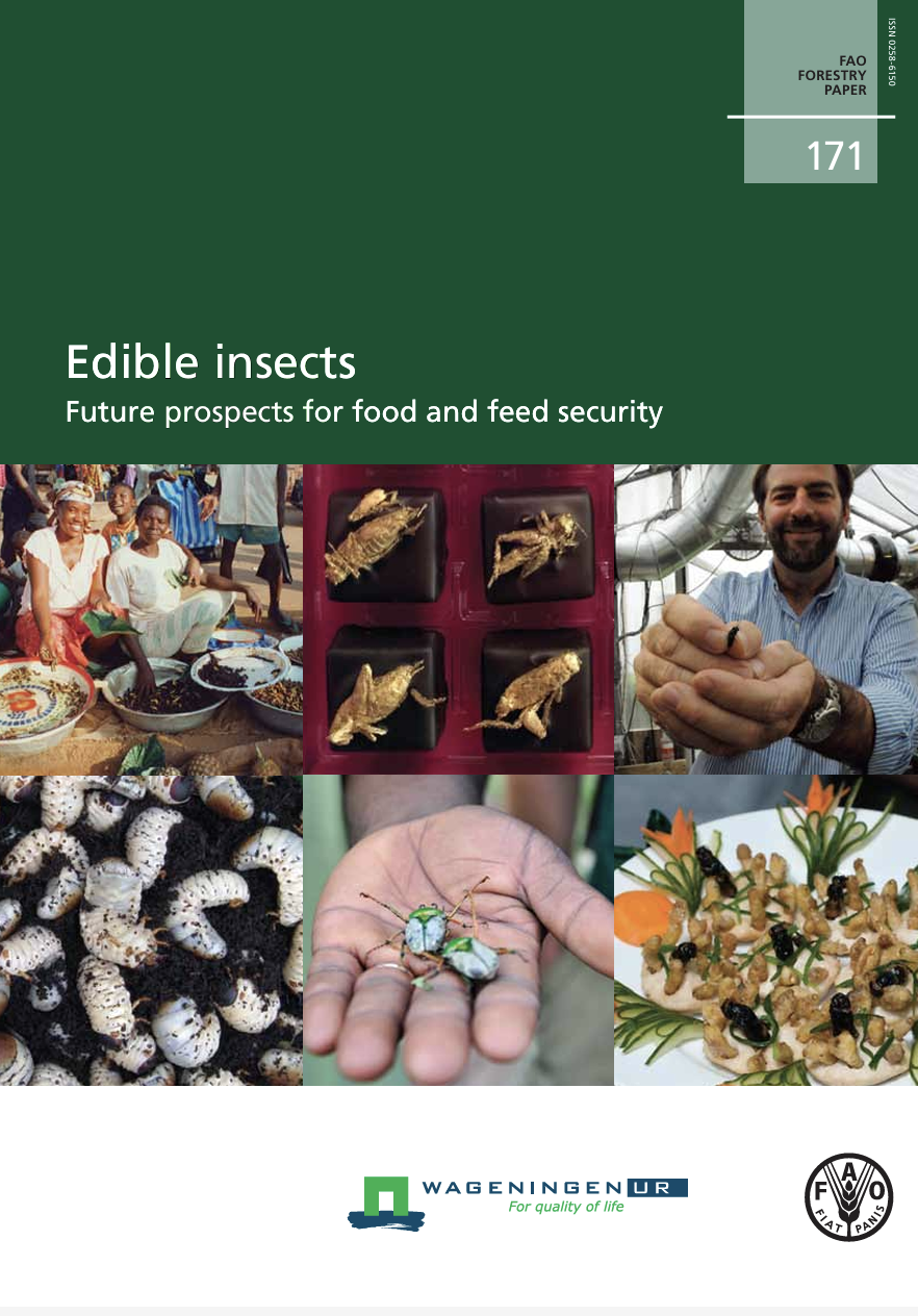Image cover of "Edible Insects: Future Prospects for Food and Feed Security.