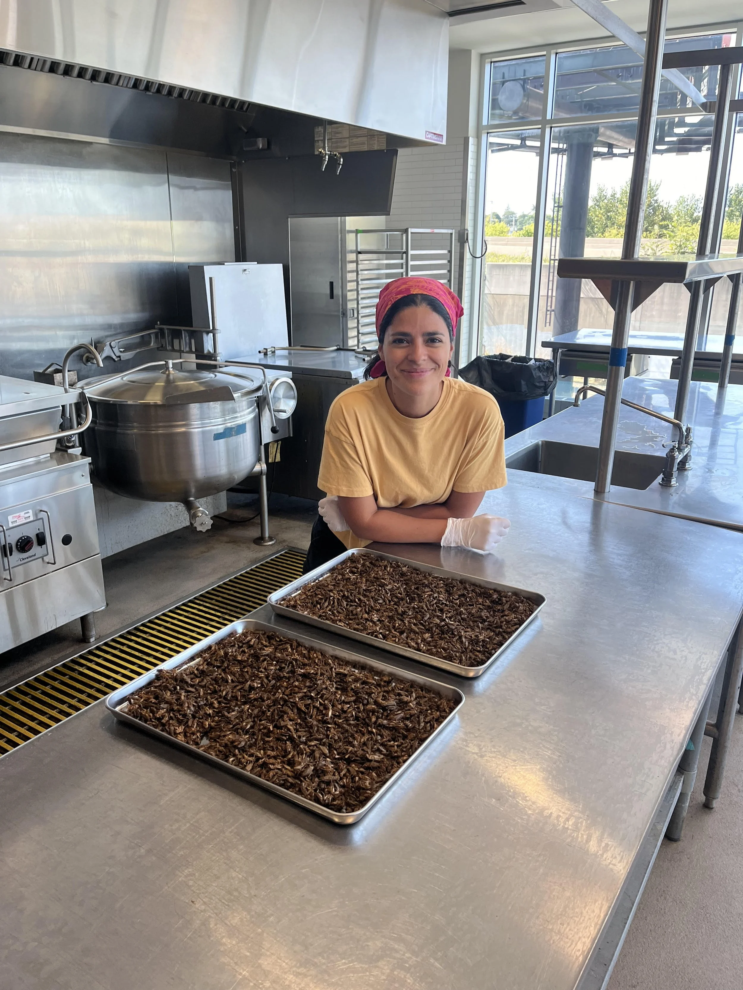 A woman wearing a red bandana is smiling in a kitchen while processing crickets for human consumption.
