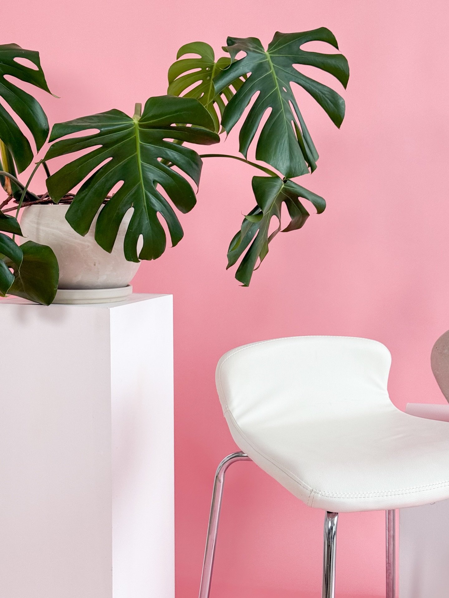 She&rsquo;s pretty in pink 🎀💕💅🏻

This color has always been a client favorite, and we&rsquo;re so happy it&rsquo;s here to stay for spring!

Creating custom sets in the studio is easy with multiple backdrop options and plenty of props and styling