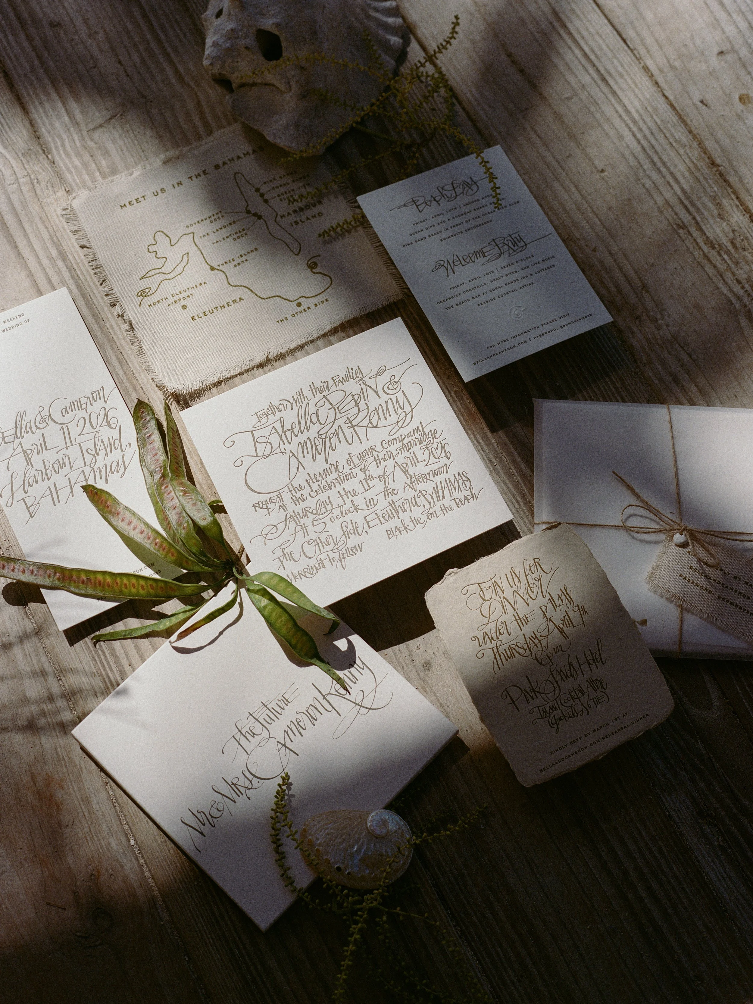 AbigailLewisPhoto.B+C-82.jpg
