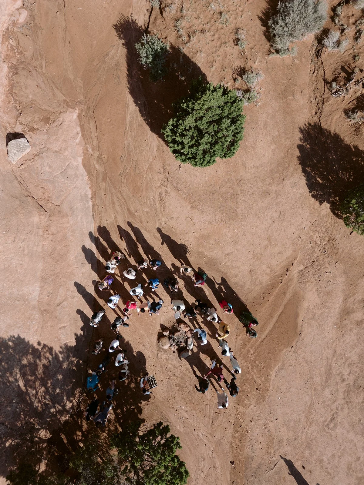 Group of people walking on a dirt trail in a desert landscape with scattered shrubs and trees, casting long shadows.
