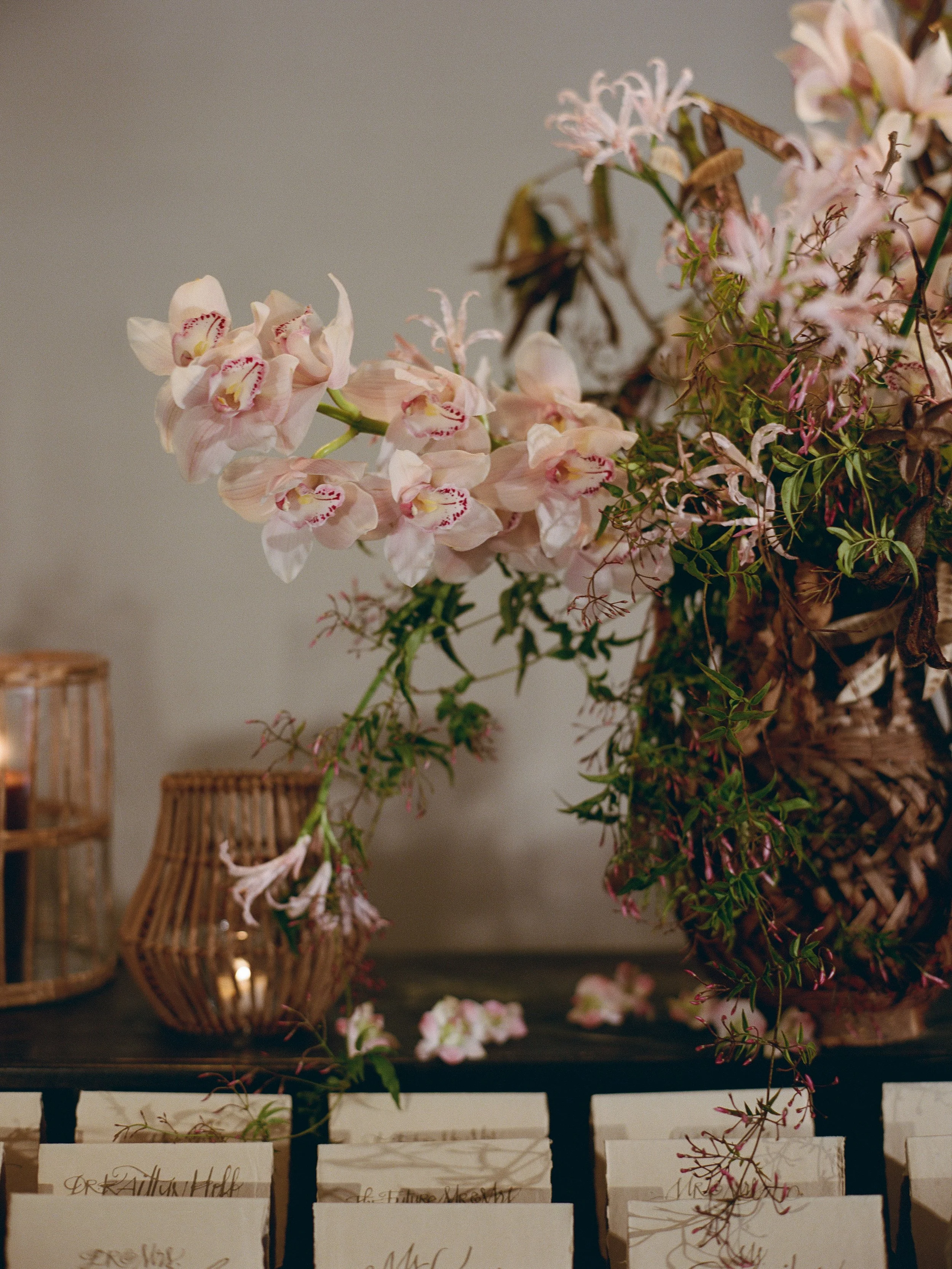 AbigailLewisPhoto.B+C-2-4.jpg