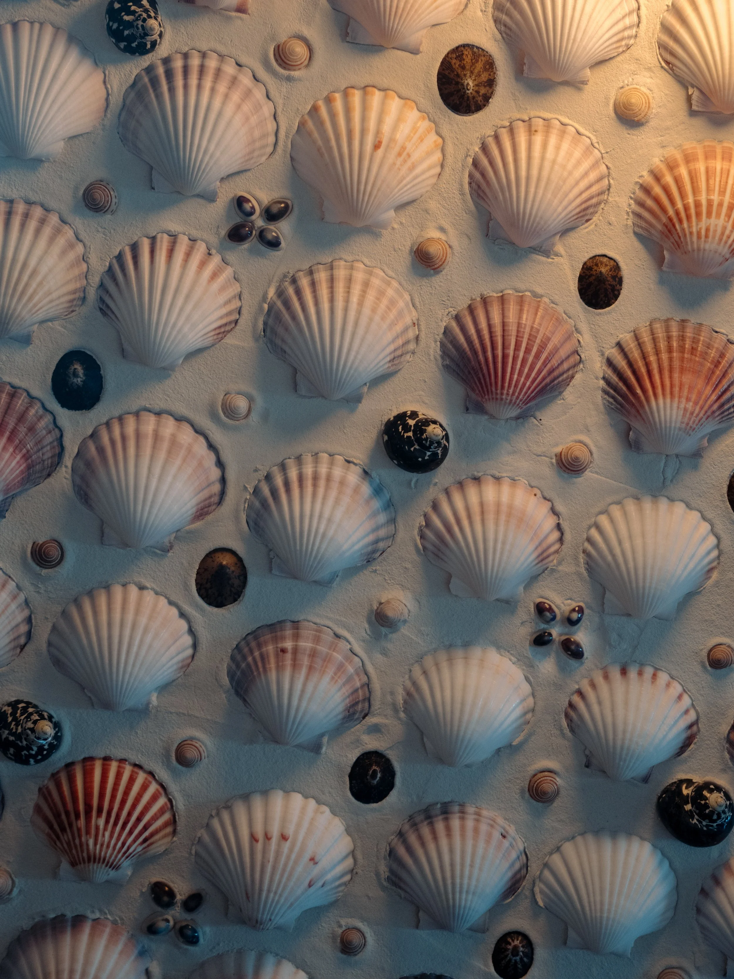 AbigailLewisPhoto.B+C-54.jpg