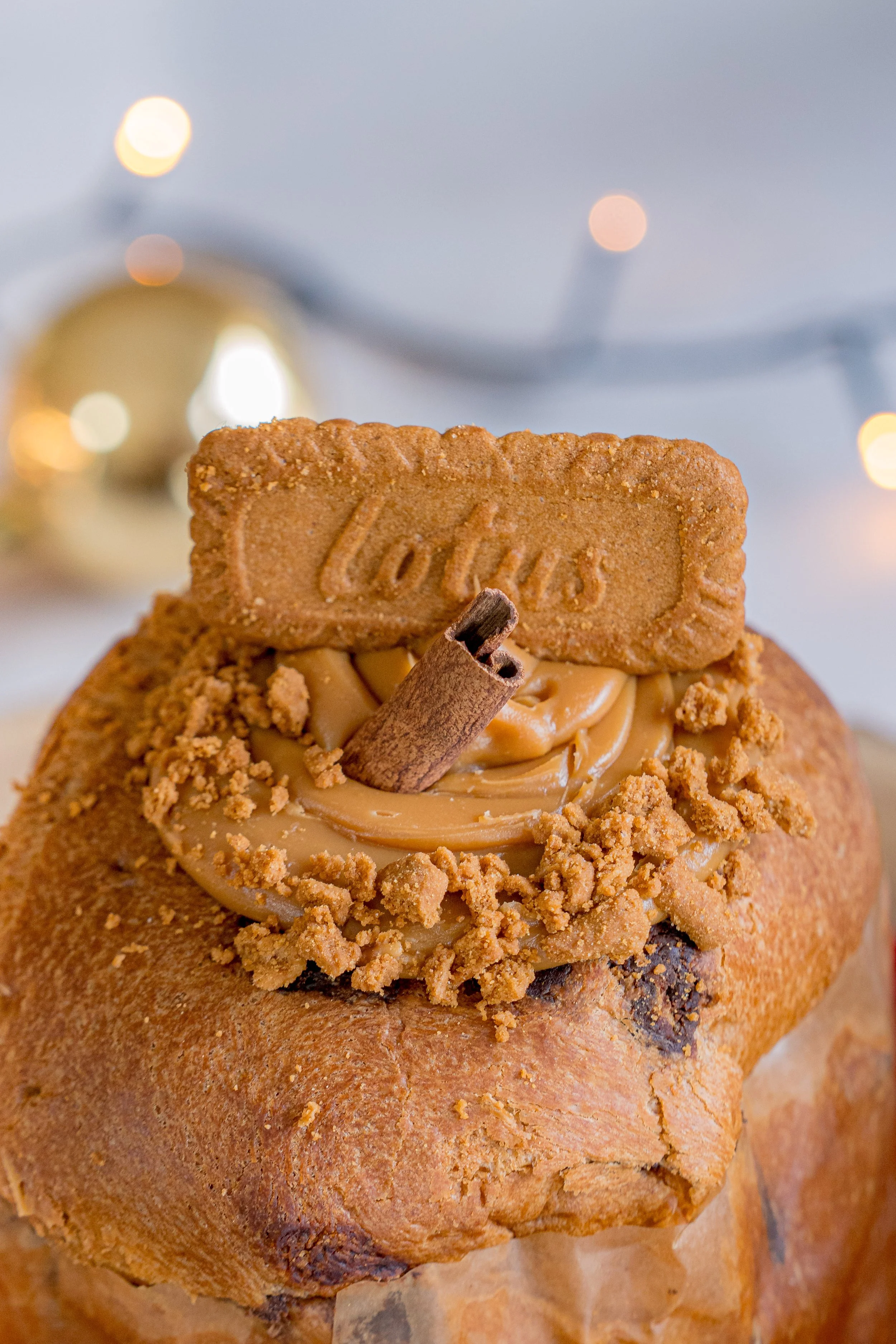 Chocotone Lotus 2.jpg