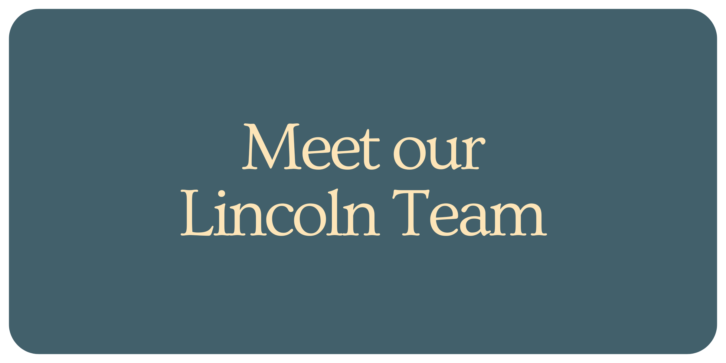 Meet Our Lincoln Team Social Sparks RI