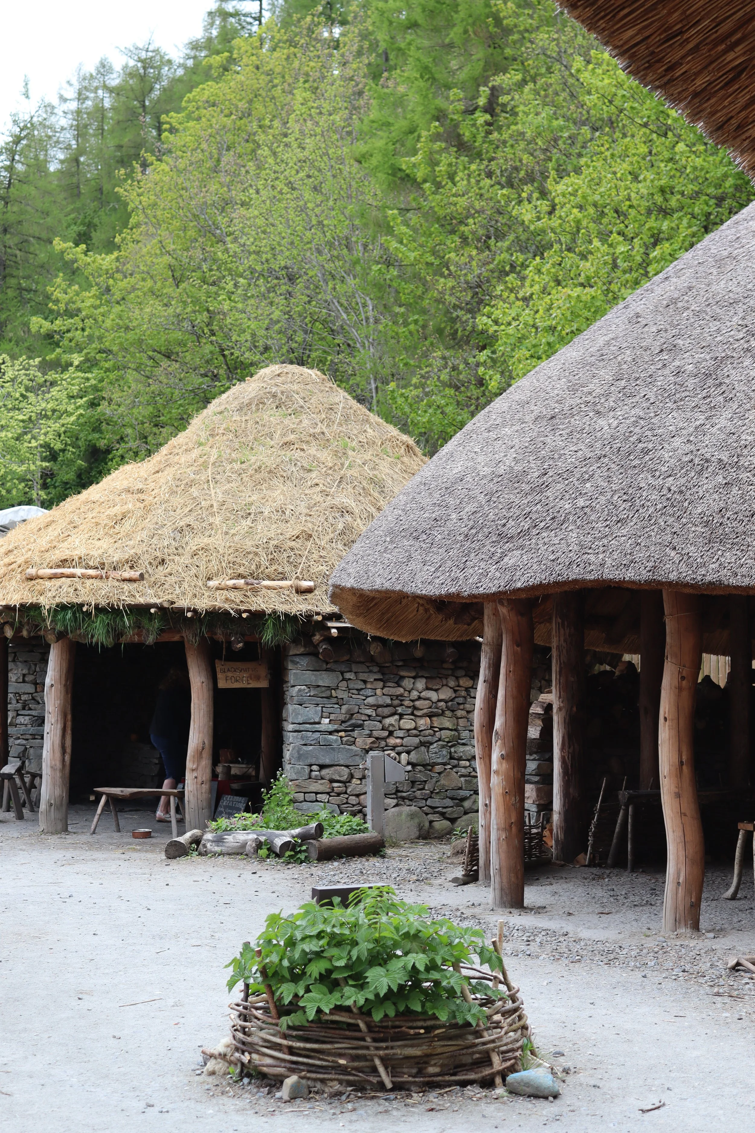 Scottish Crannog Centre & History