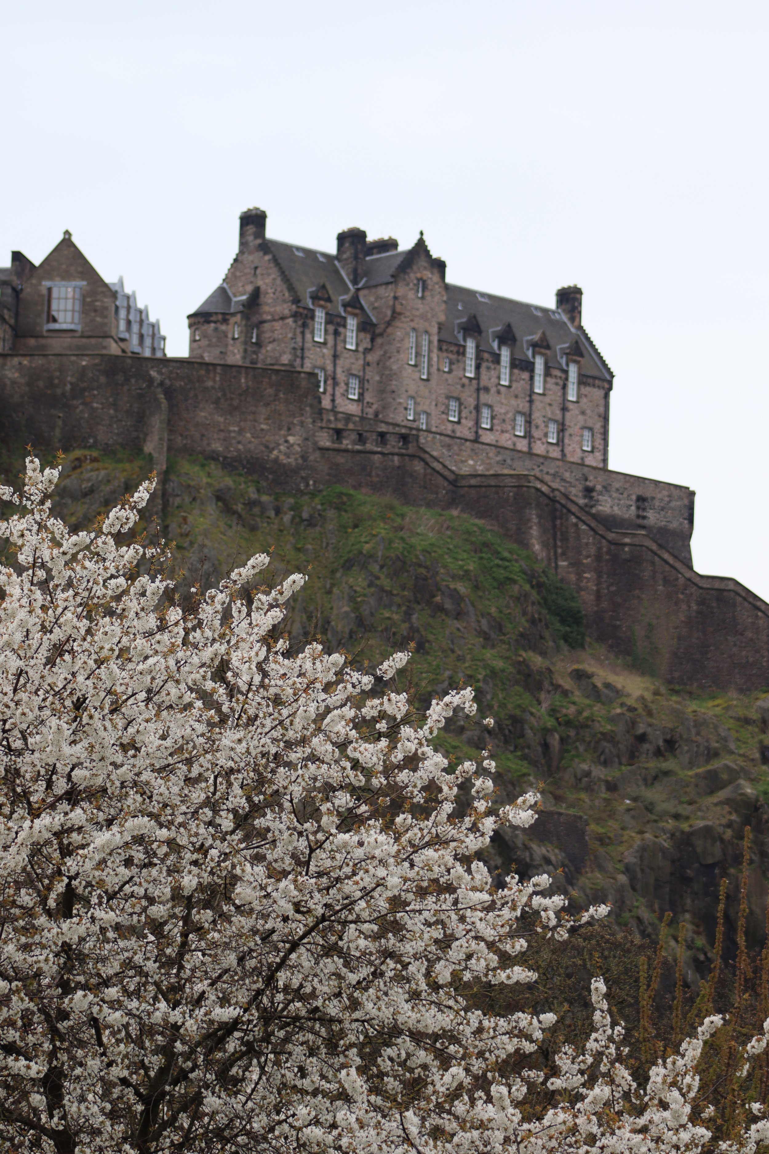 Walking Tour Gift Card