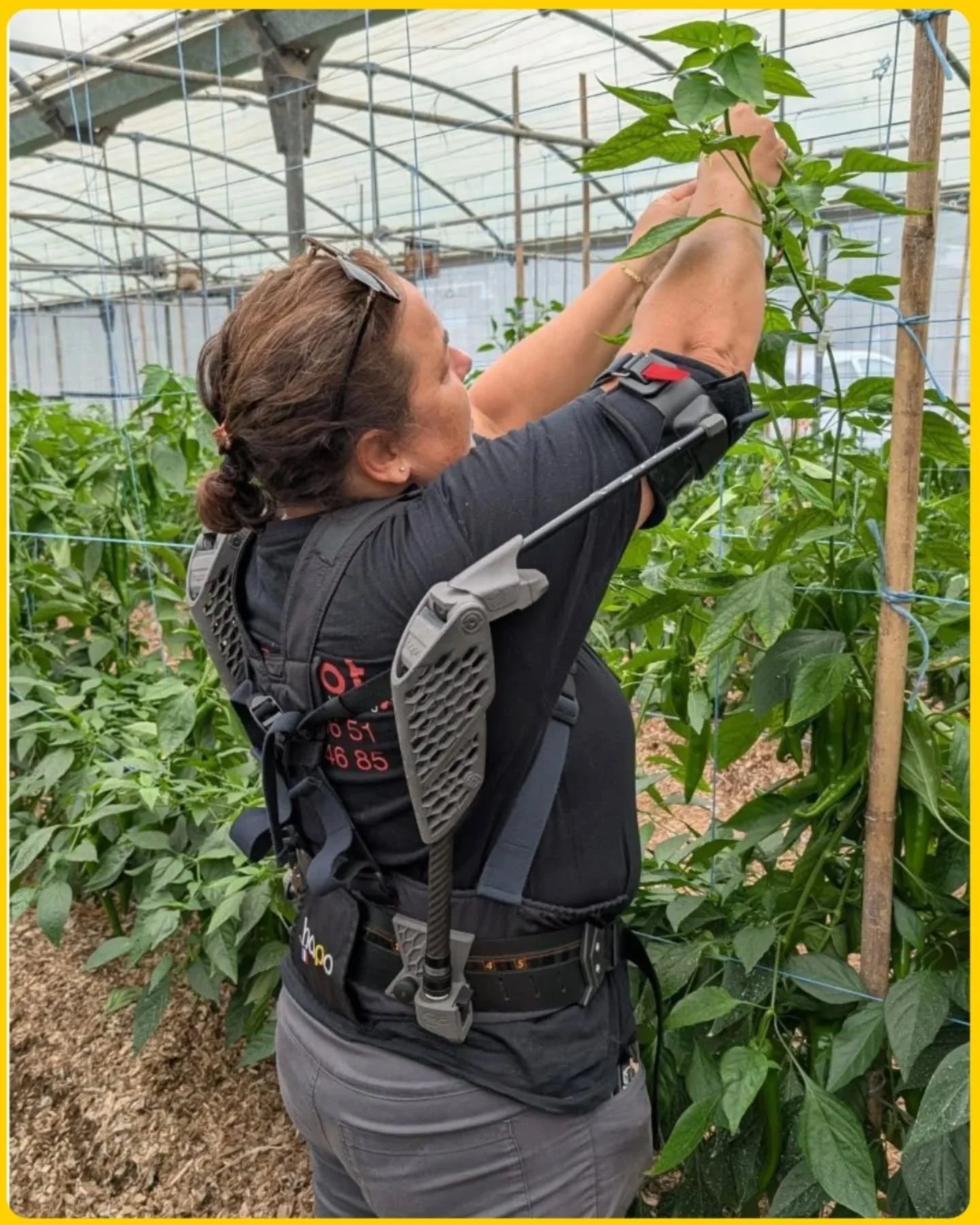 Farming puts the body to the test. 🌿
Hours of bending, lifting, and squatting can mean pain, fatigue, and injuries.

With the HAPO exoskeleton, farmers get support where it&rsquo;s needed most &mdash; easing strain, protecting the back, and helping 