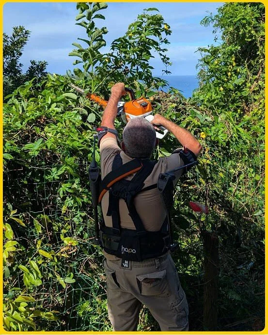 Working in paradise doesn&rsquo;t make the hard work disappear&hellip;

At @palm_hotel_spa street et and ILOHA Seaview Hotel *: hedge trimming, 🌴 pruning, 🌳 cutting at height&hellip; the gardening teams face demanding tasks every day.

💪 That&rsqu