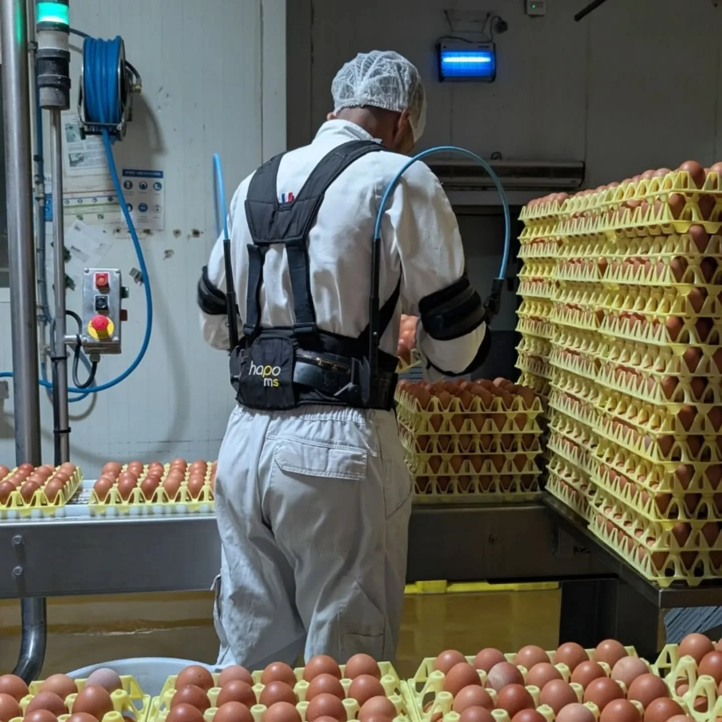 1.7 billion people worldwide live with a musculoskeletal disorder (WHO) 🌍 
In sectors such as the agri-food industry, repetitive movements and prolonged standing place heavy strain on the body.

In R&eacute;union Island, SOCIETE COOPERATIVE AGRICOLE