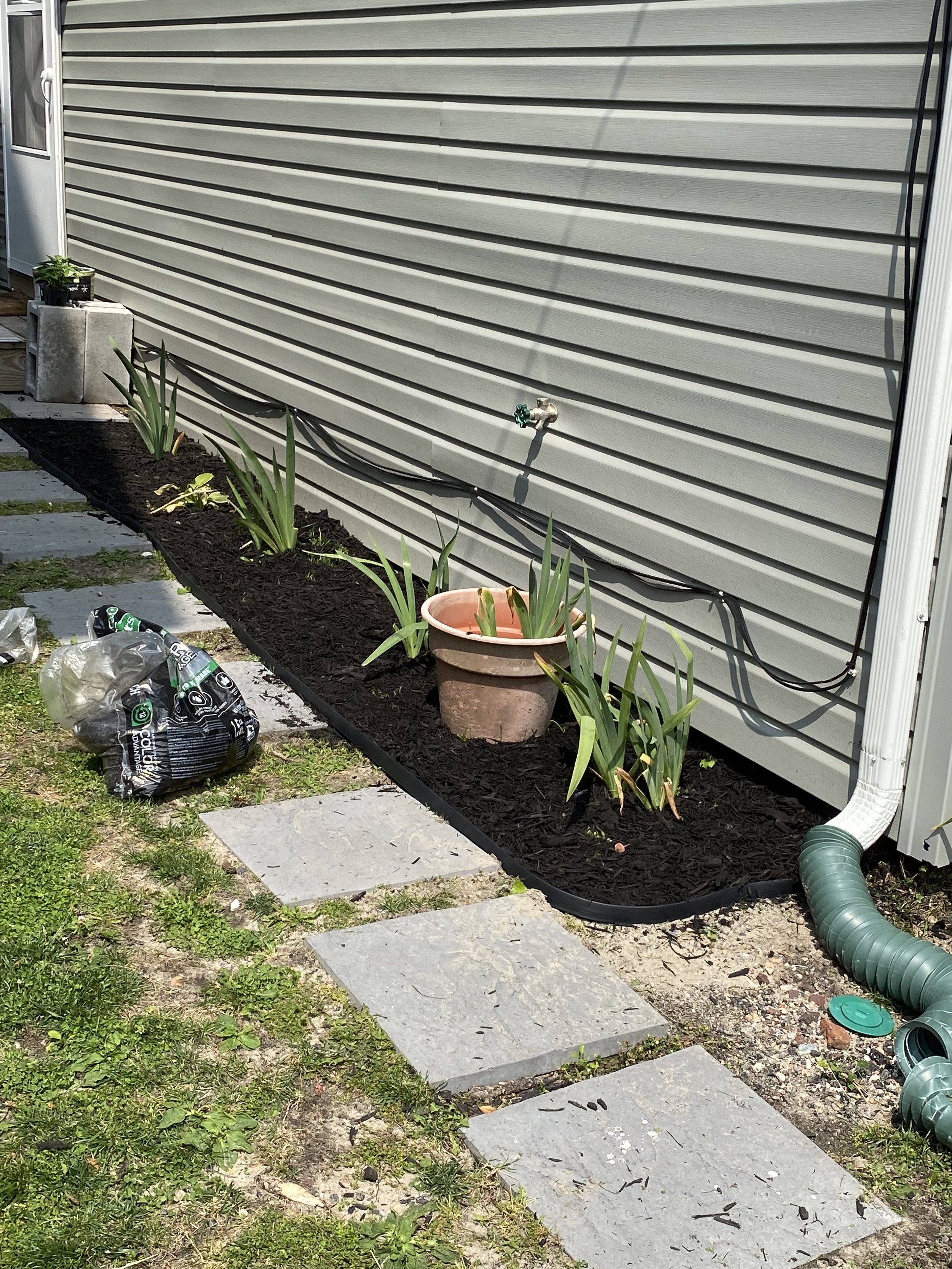 A small garden bed with plants and black mulch along the side of a house with gray siding. A terracotta pot is placed in the garden bed. A green plastic hose is connected to a faucet on the wall, and a green flexible downspout extension is visible. G
