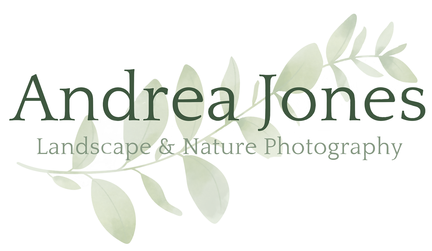 Andrea Jones Photography