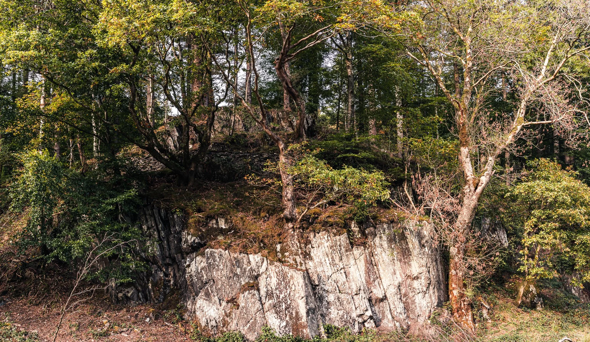 Hafod Rock.jpg