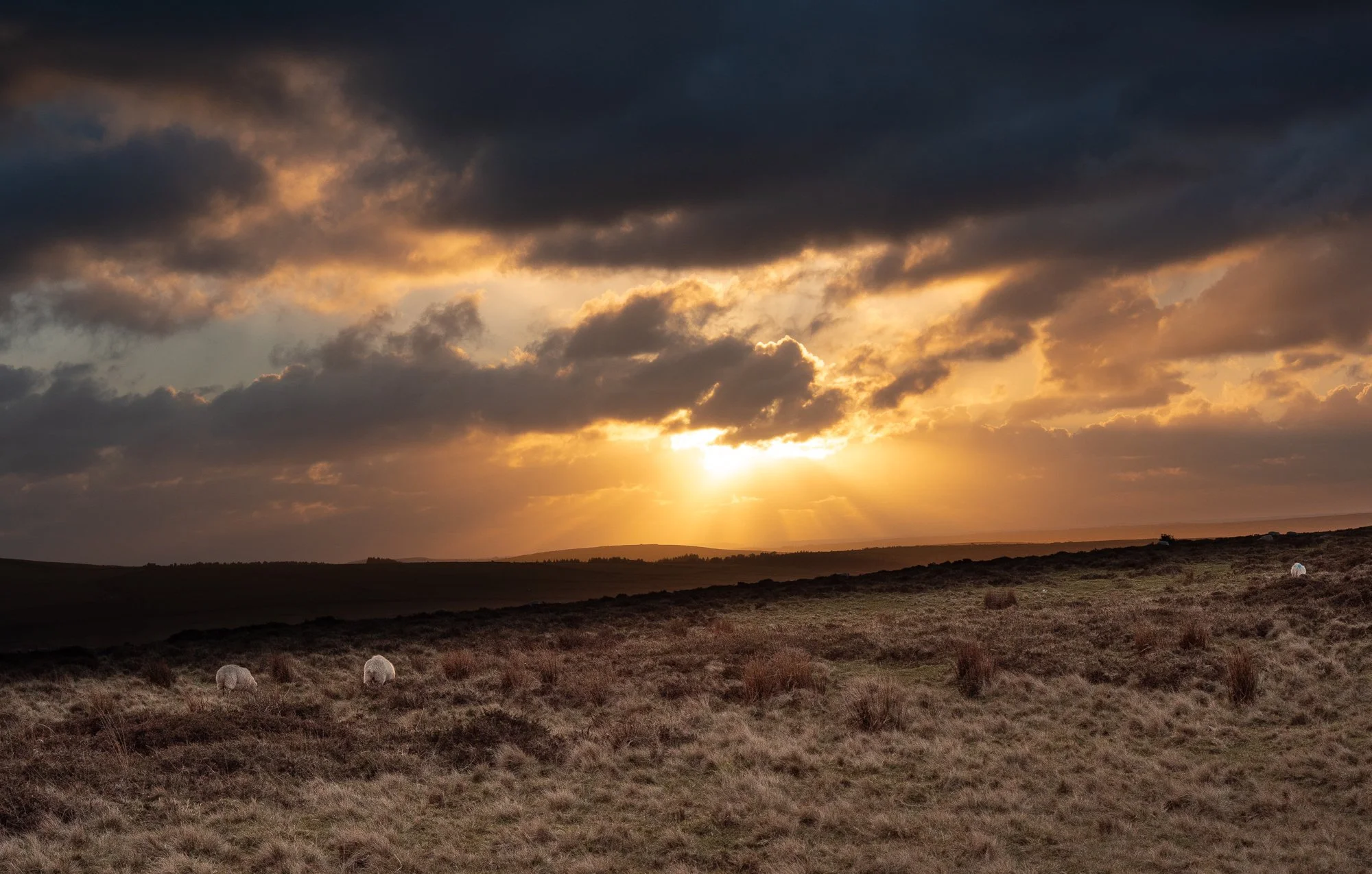 Mynydd Melyn.JPG