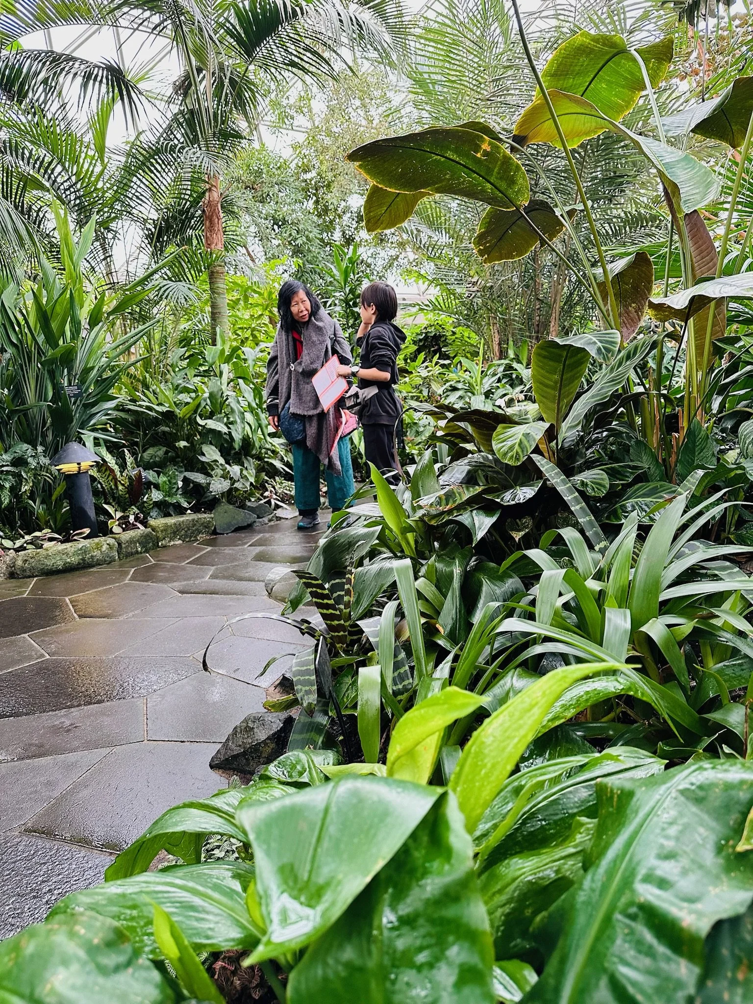 Two women talking in a lush indoor botanical garden with tropical plants and a stone pathway.