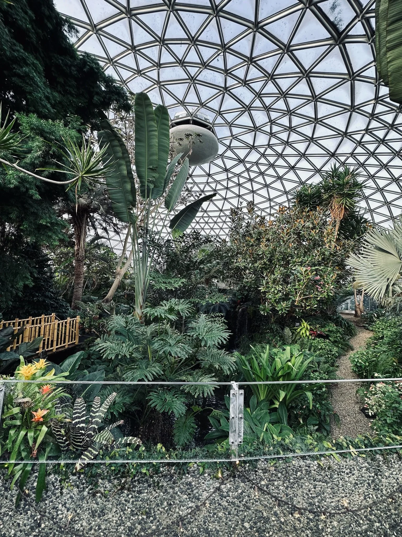 Indoor botanical garden with lush green plants, trees, and a pathway, enclosed by a glass and metal geodesic dome ceiling.