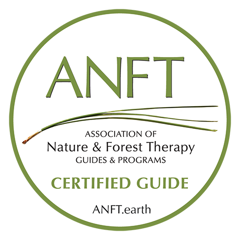 Logo for the Association of Nature & Forest Therapy (ANFT) with a green and white color scheme, featuring a stylized green grass or plant element.