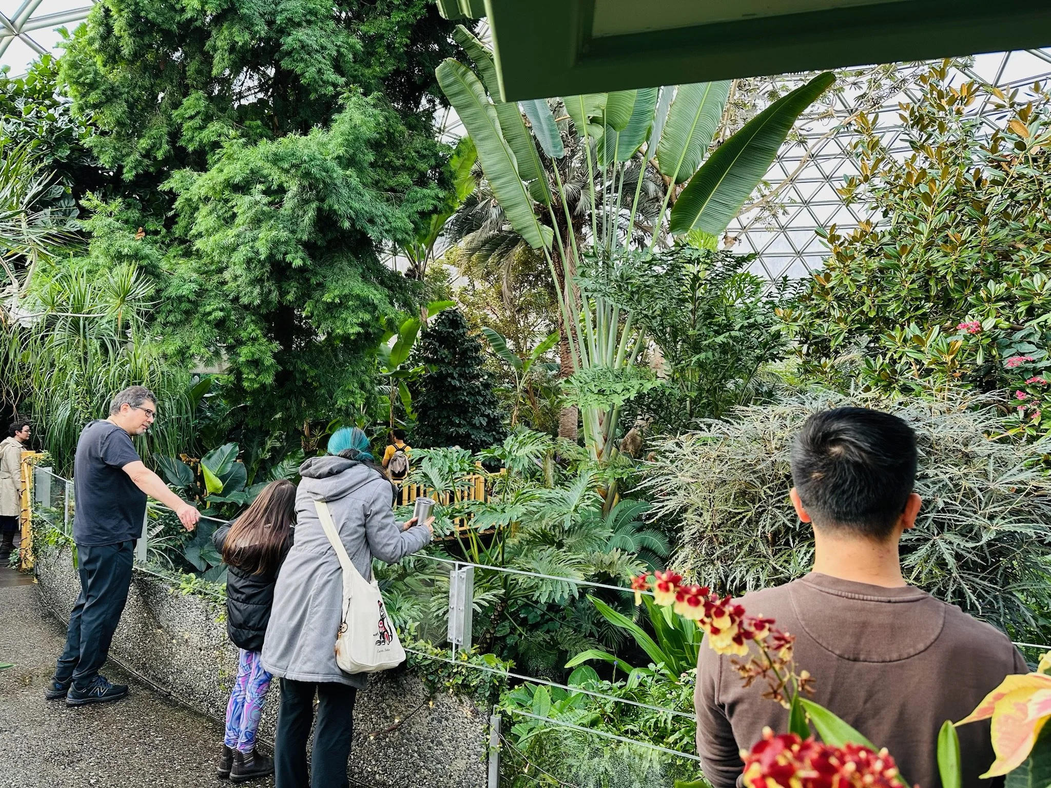People observing and taking photos of lush tropical plants inside a greenhouse or botanical garden.