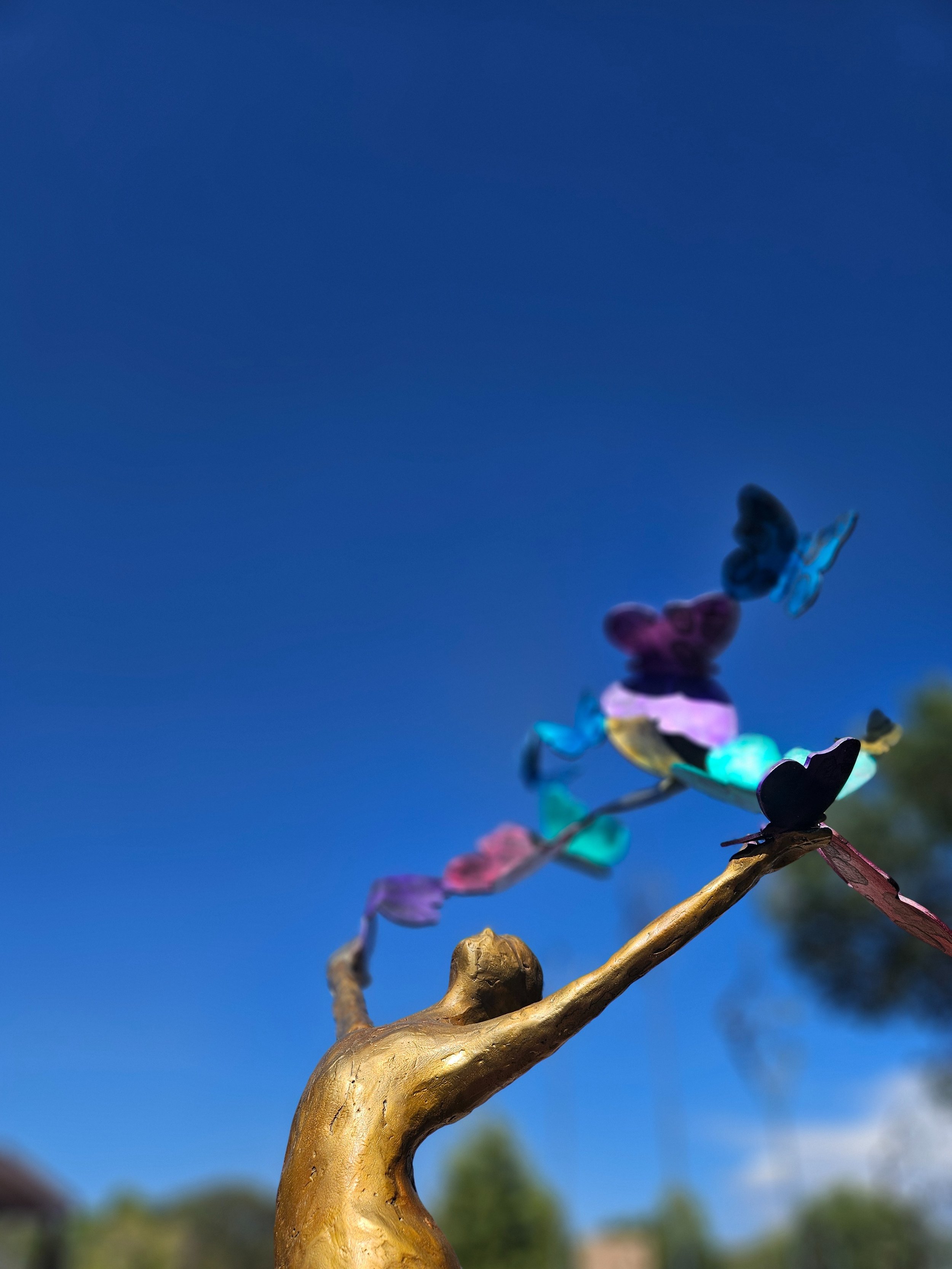 Harmonize: Yin Restore + Sound Attunement with DeAnn Barry &amp; Antonia Miran