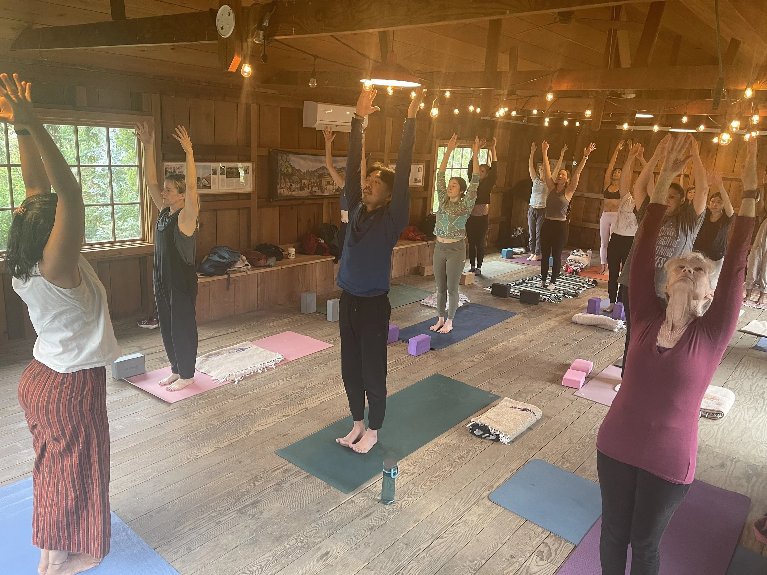 Embodied Philosophy: Yoga On and Beyond Our Mats&nbsp;with&nbsp;Disha Gupta