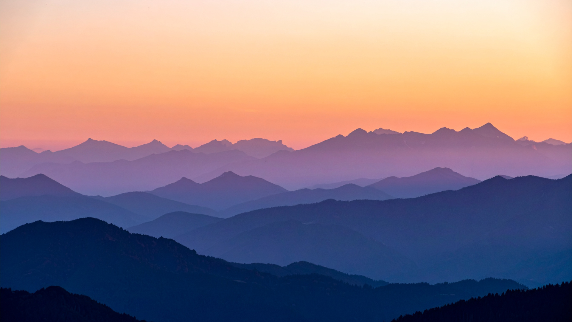 Living Tantra Satsang with Lisa Engles-Witter