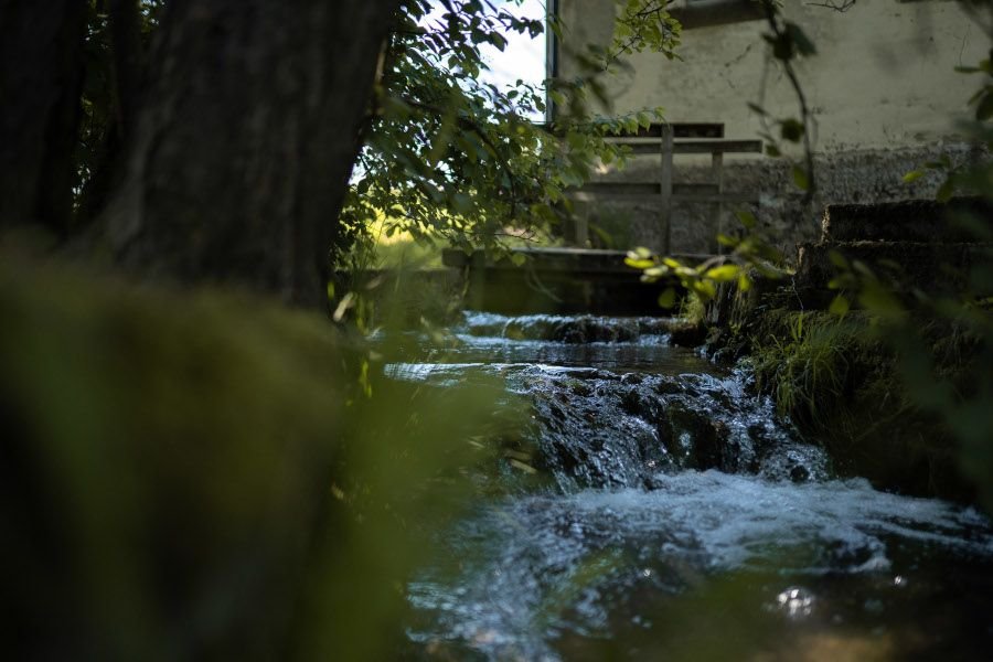 Ein kleiner Bach fließt zwischen Bäumen und hebt sich an einem kleinen Wasserfall hervor, im Hintergrund eine hölzerne Brücke oder Plattform und eine uneven Mauer.