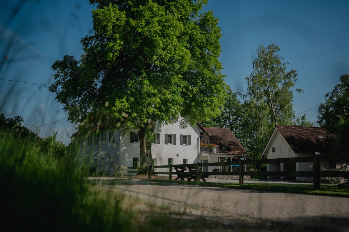 Ein Baum steht in der Nähe eines weißen Hauses mit einem Balkon, neben einem kleineren Haus mit rotem Dach, bei sonnigem Himmel.