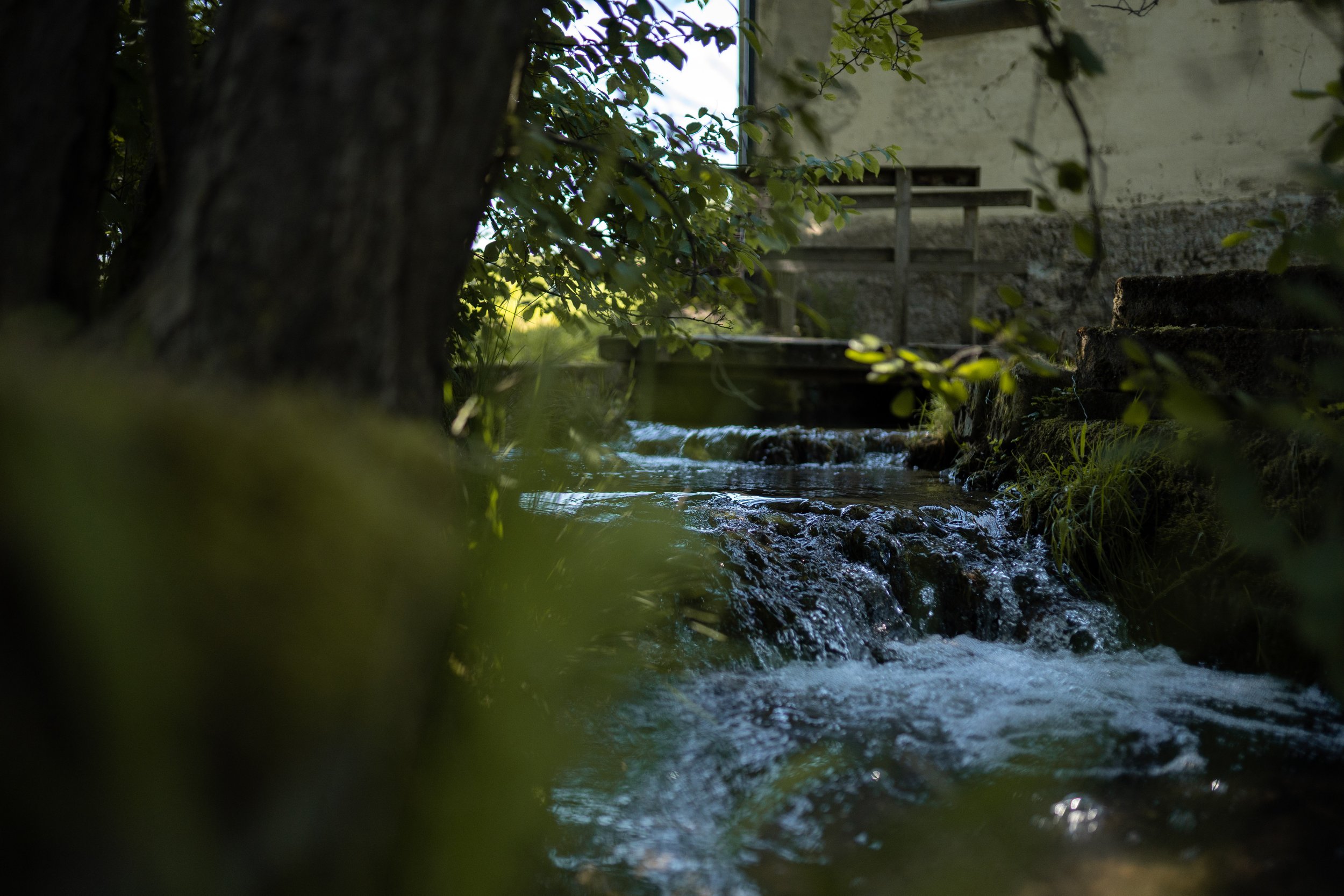 Ein kleiner Wasserlauf fließt unter einem Baum hindurch, mit einem Gebäude im Hintergrund, umgeben von grüner Vegetation.