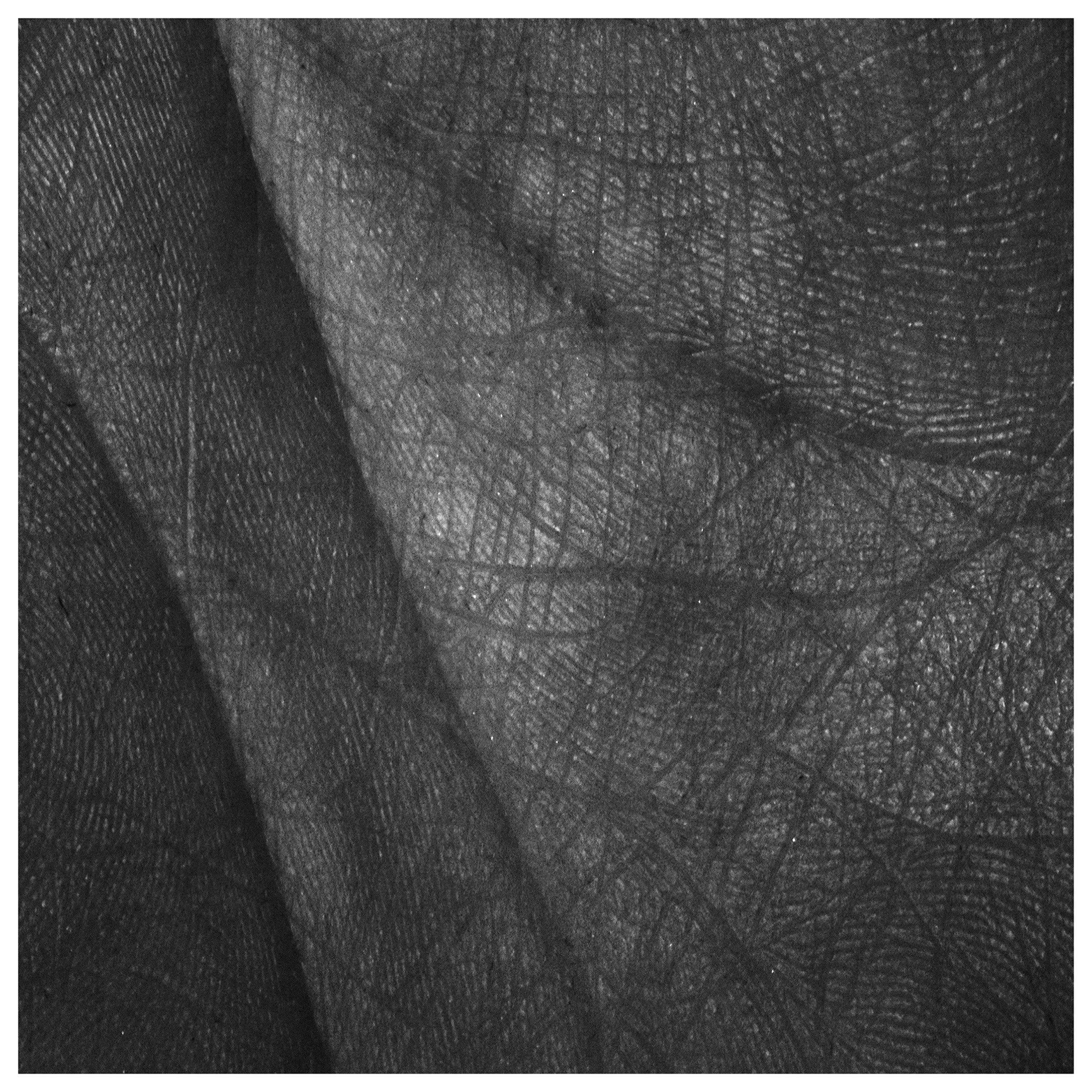 Form_and_Nature 06.jpg