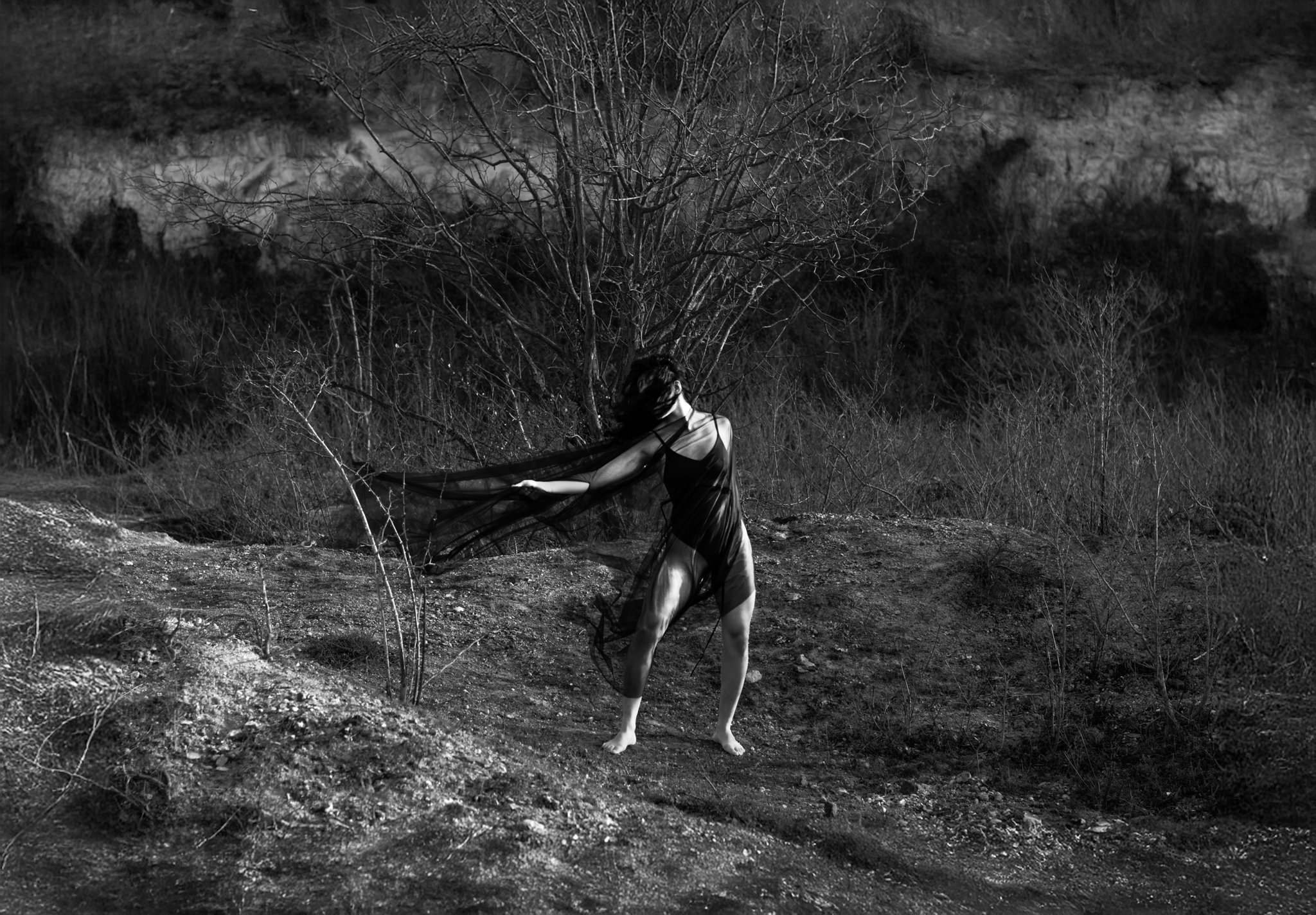 As The Wind Would Have Me.jpg