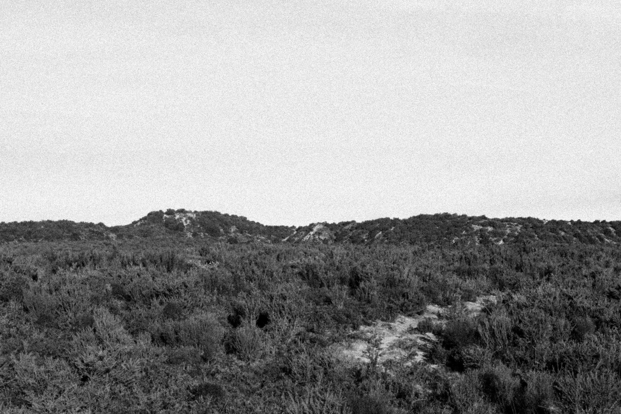 DSC_5381.jpg
