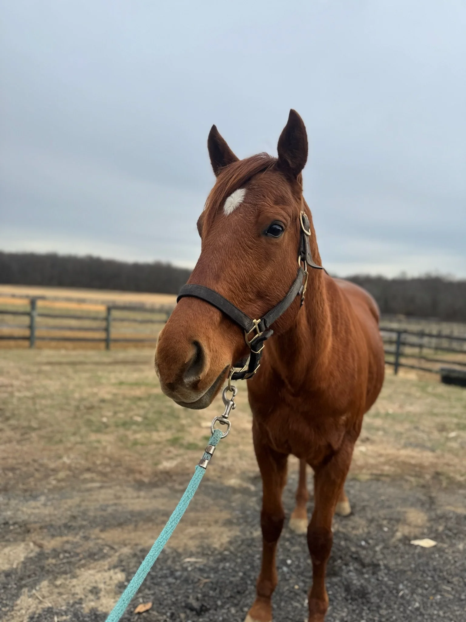 Bill (awesomebrotherbill)