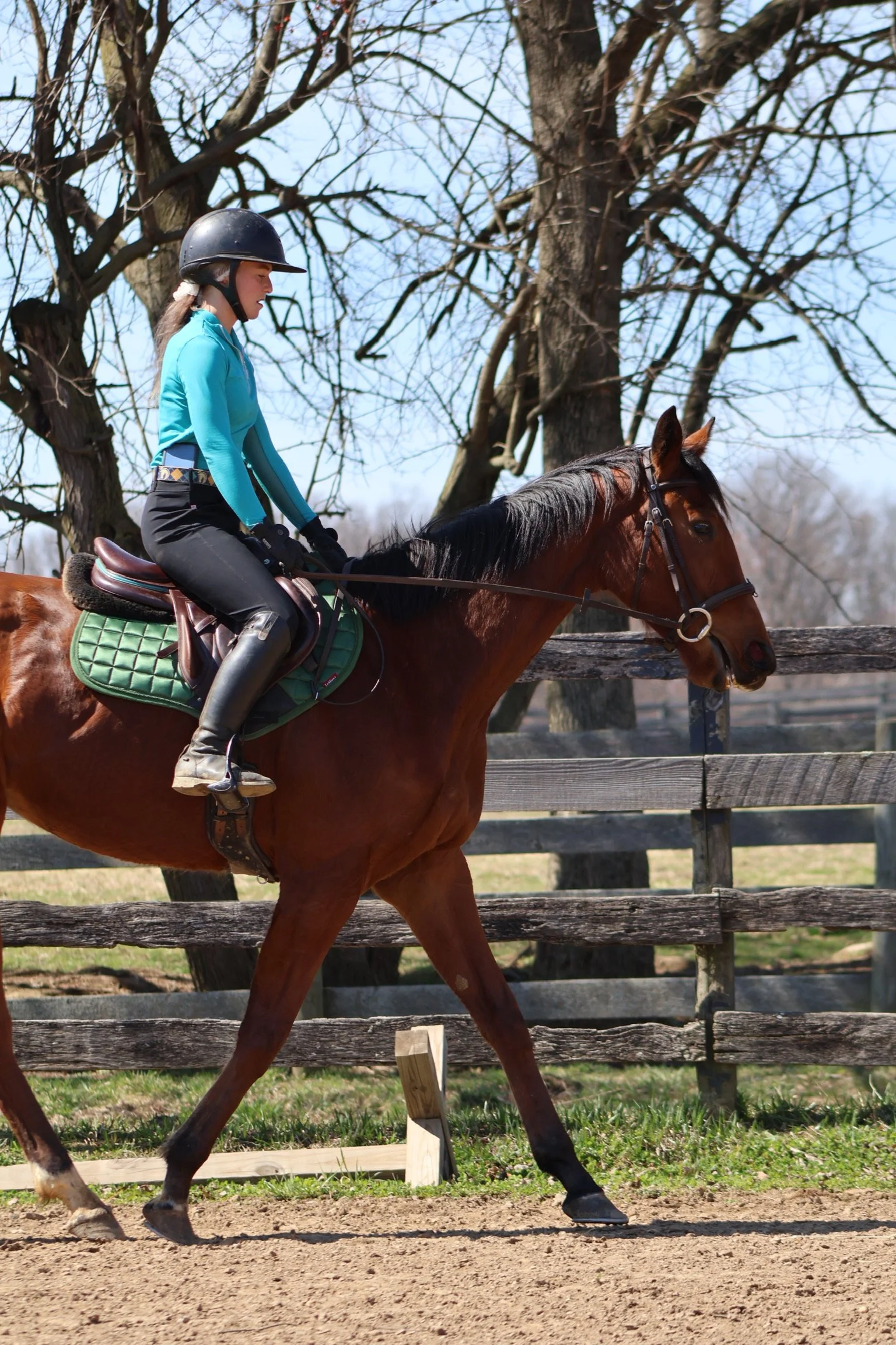 IMG_1191.jpeg