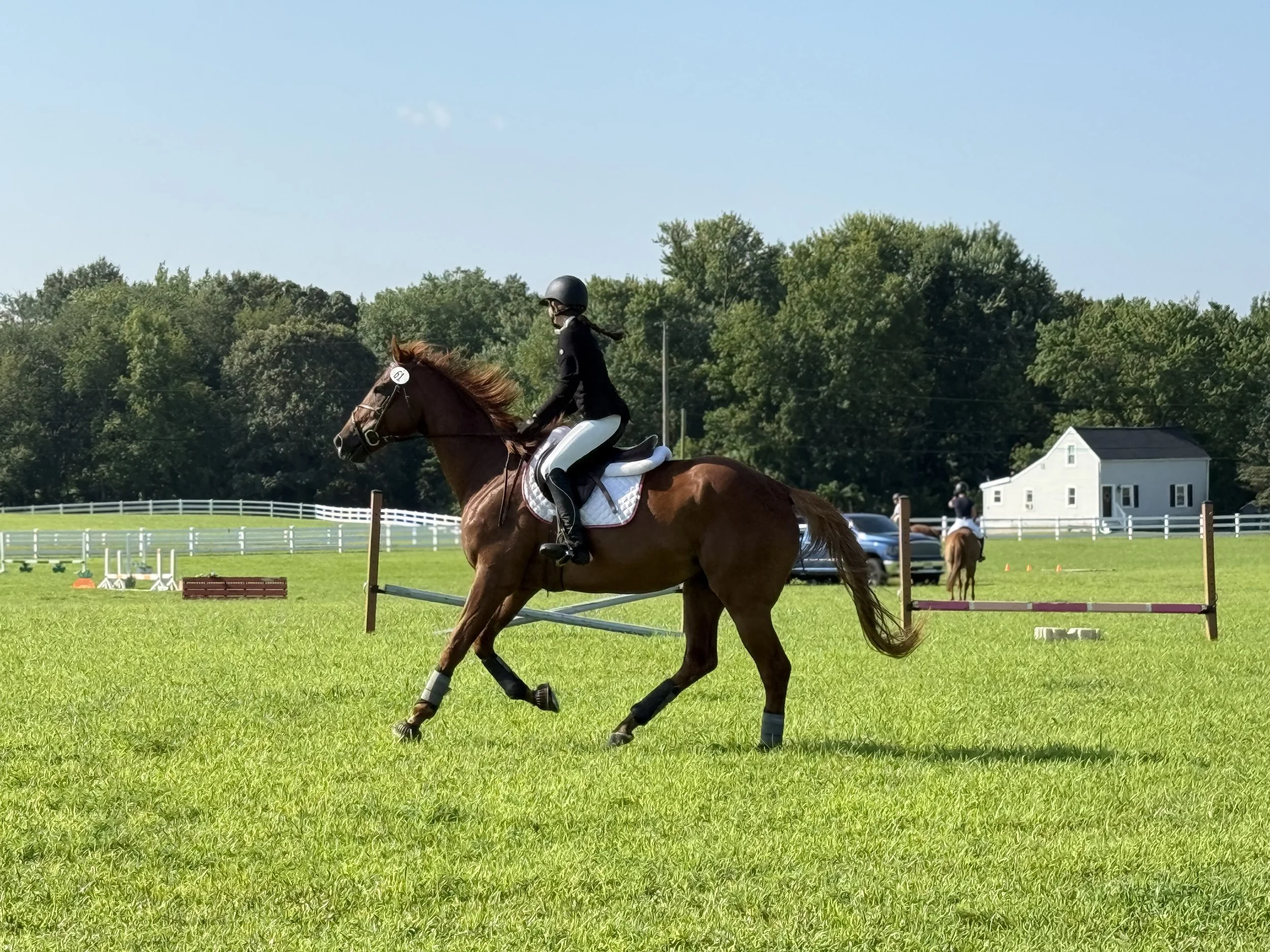 A person riding a brown horse during a jumping event on a grassy field. The rider is wearing a helmet, black jacket, and white riding pants. There are jumps set up in the background, along with another rider on a horse, a house, and a car. The scene is set outdoors on a sunny day with trees in the distance.