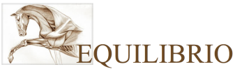 Line drawing of a horse's head and neck with the word 'EQUILIBRIO' underneath.