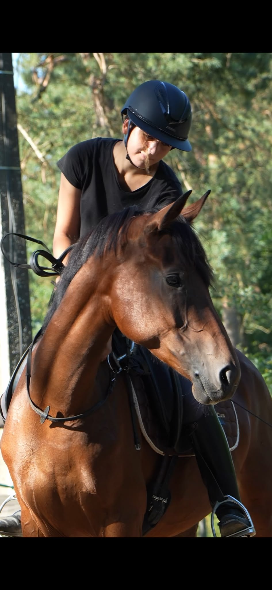 Wanneer is een paard klaar om zadelmak gemaakt te worden?