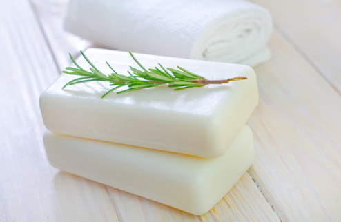 The Peppermint 1.png