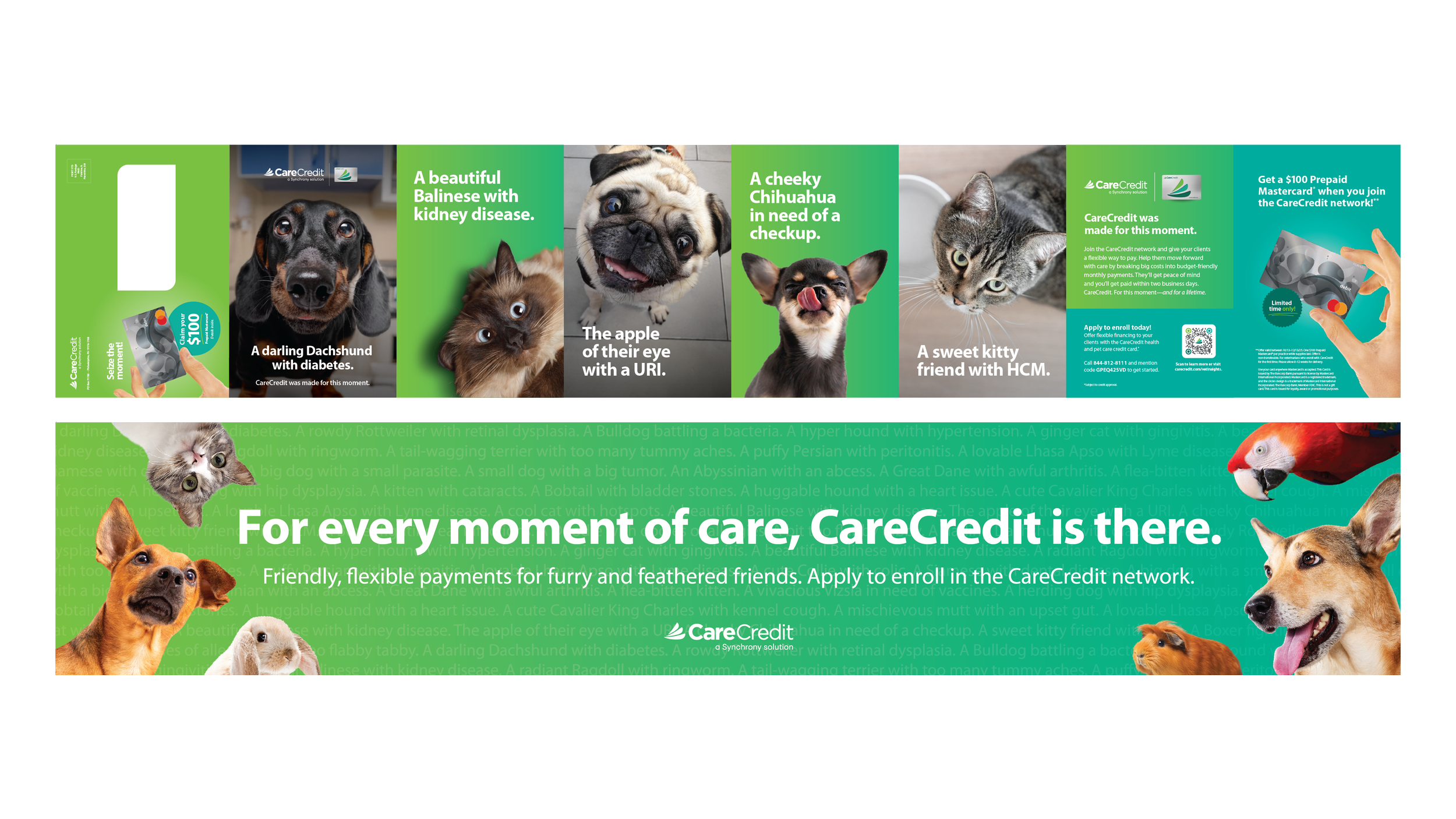 11137438_Vet_CO_IRLQ2Enrollment DM_Mar25_Drop2_062325-12.png